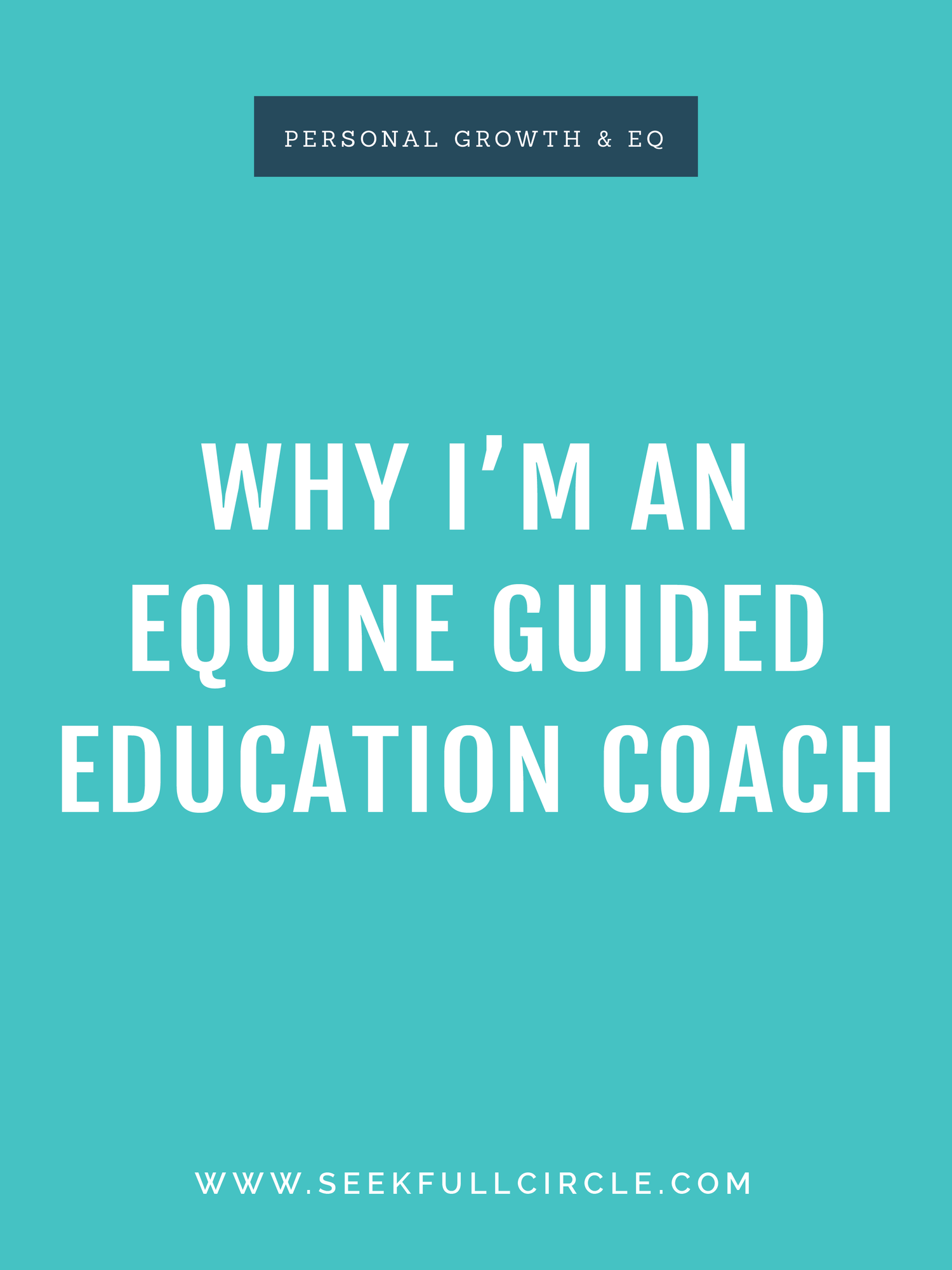 Why I'm an Equine Guided Education Coach