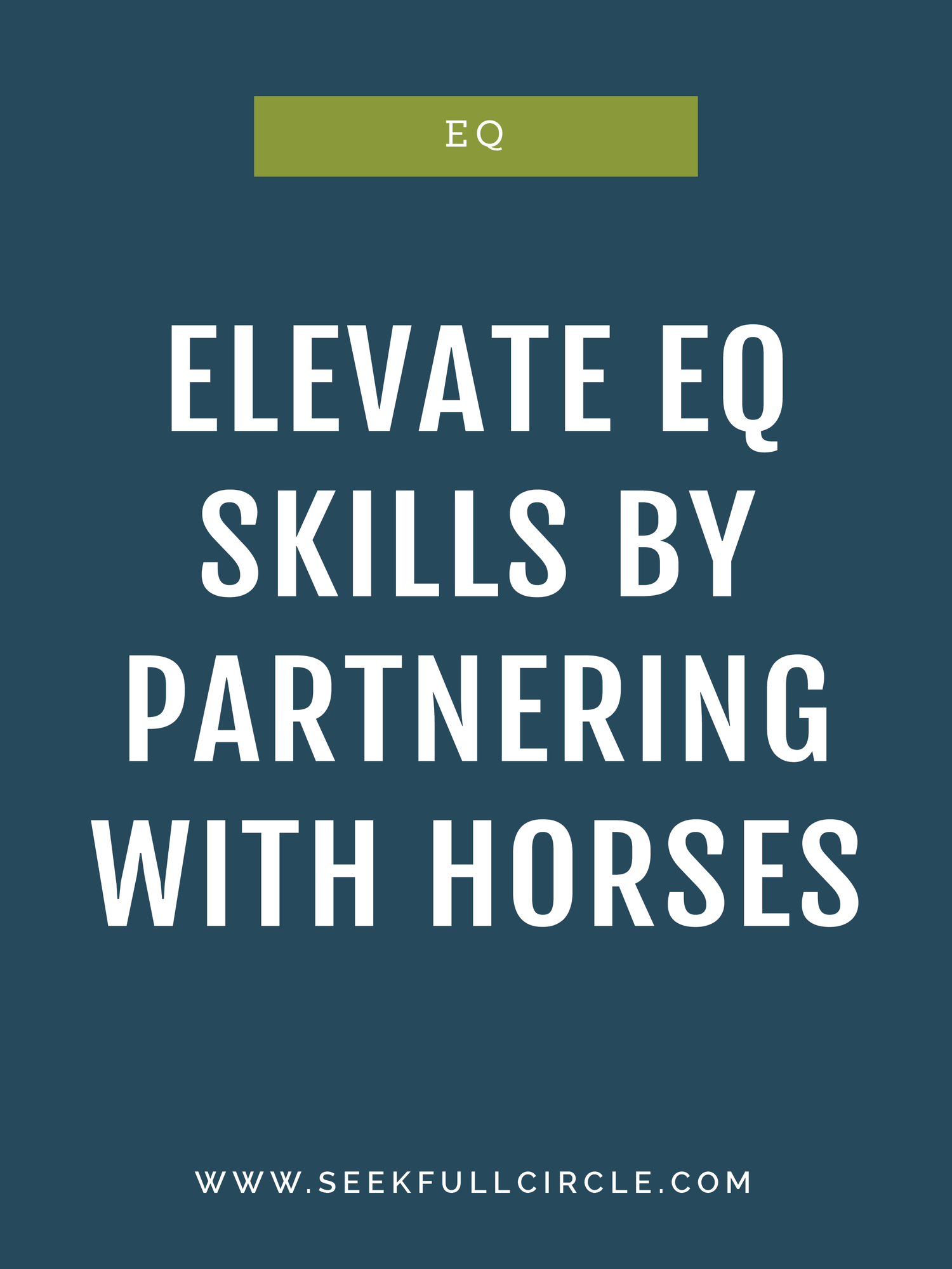 Elevate Emotional Intelligence (EQ) Skills by Partnering With Horses
