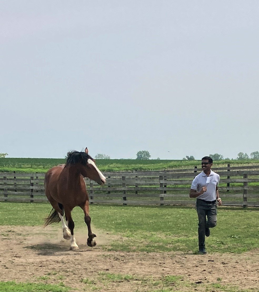 It’s the Only One!