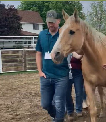 A Team + A Horse = Effective Leadership