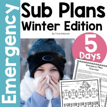 Winter Sub Plans .jpeg