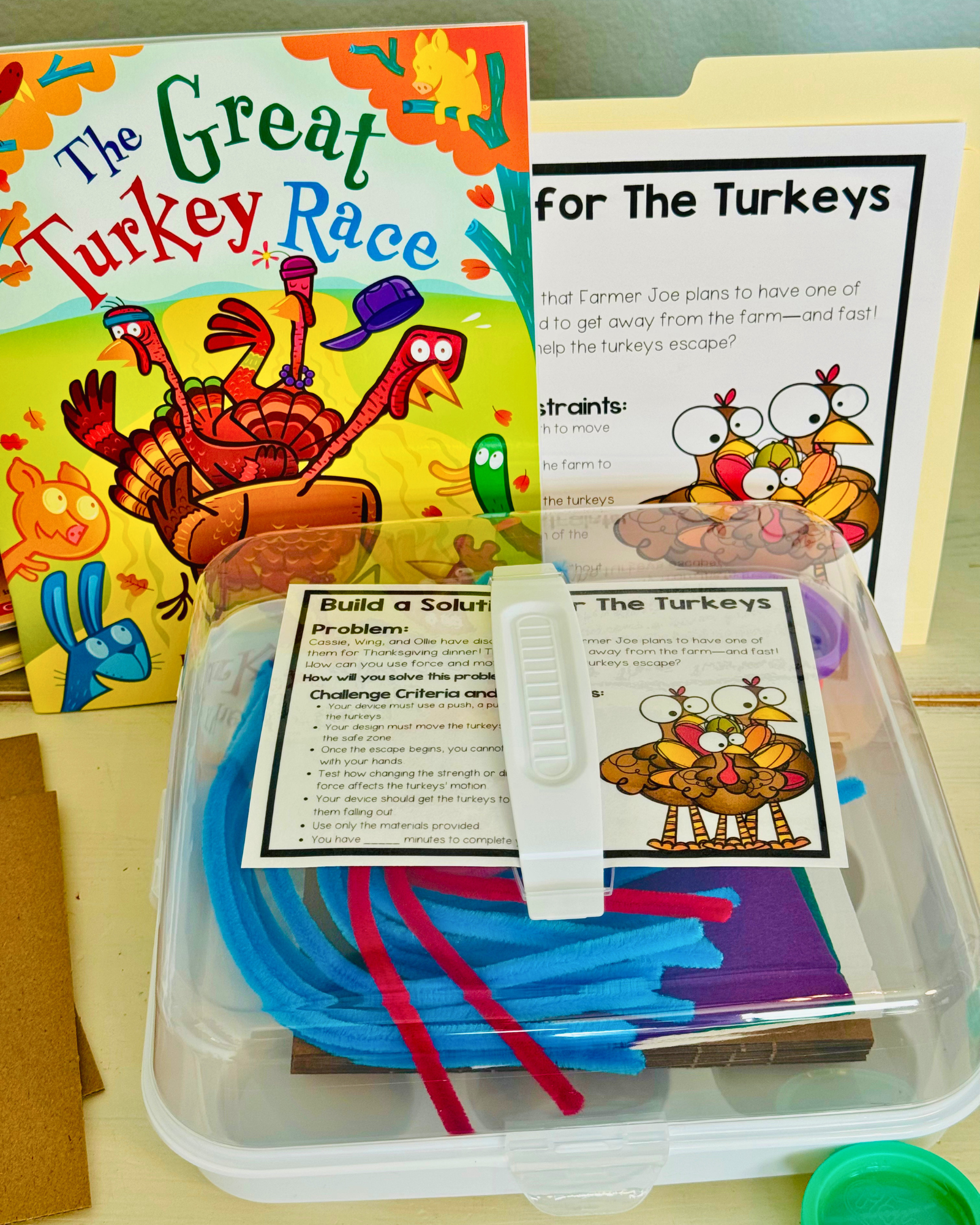 The Great Turkey Race STEM Story Box