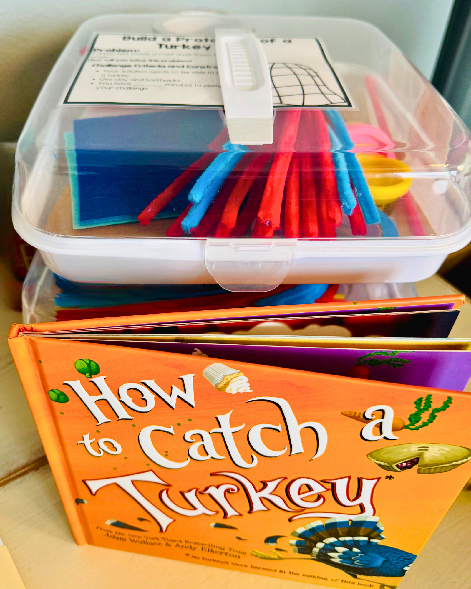 STEM story box website.png