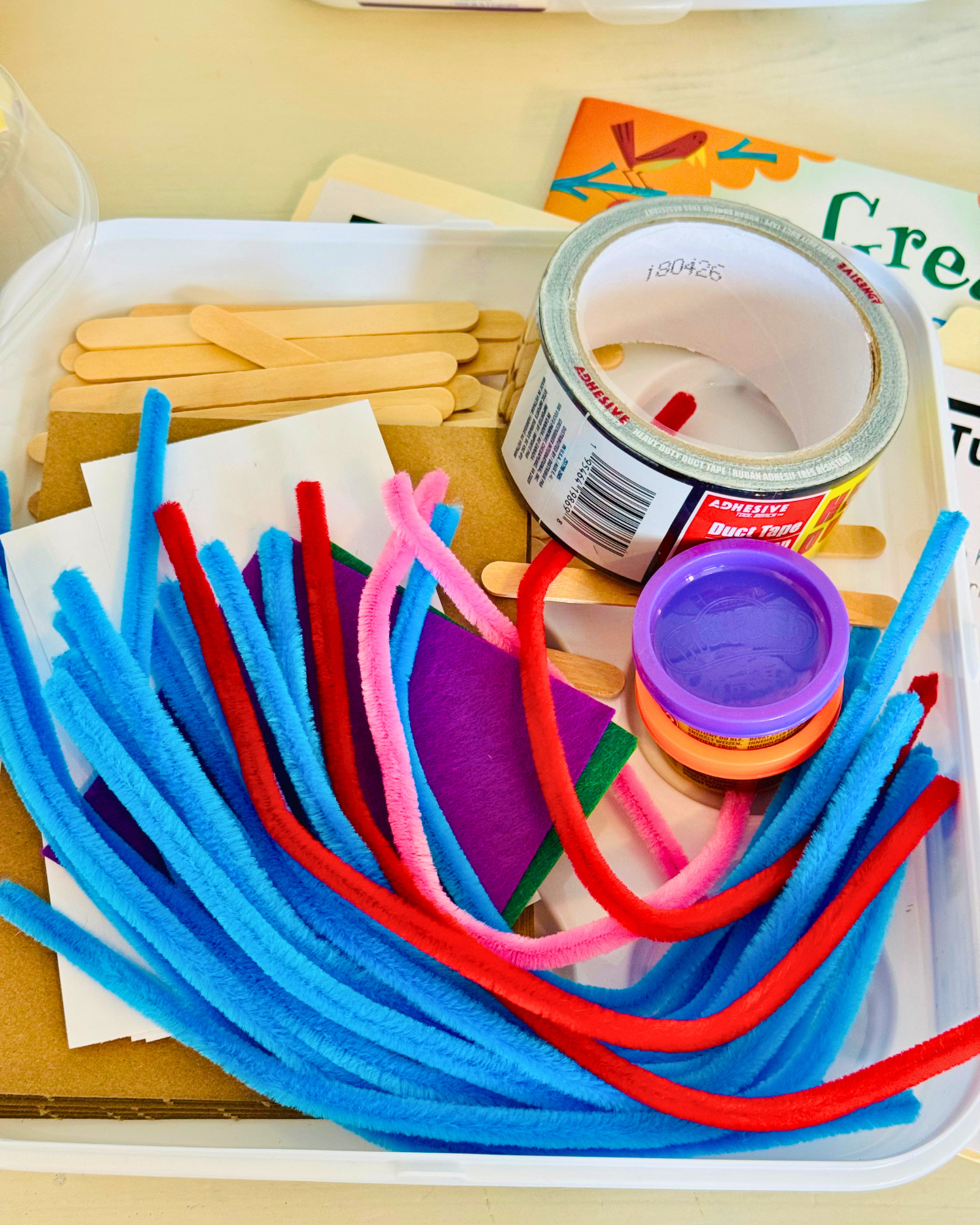 The Great Turkey Race STEM Story Box