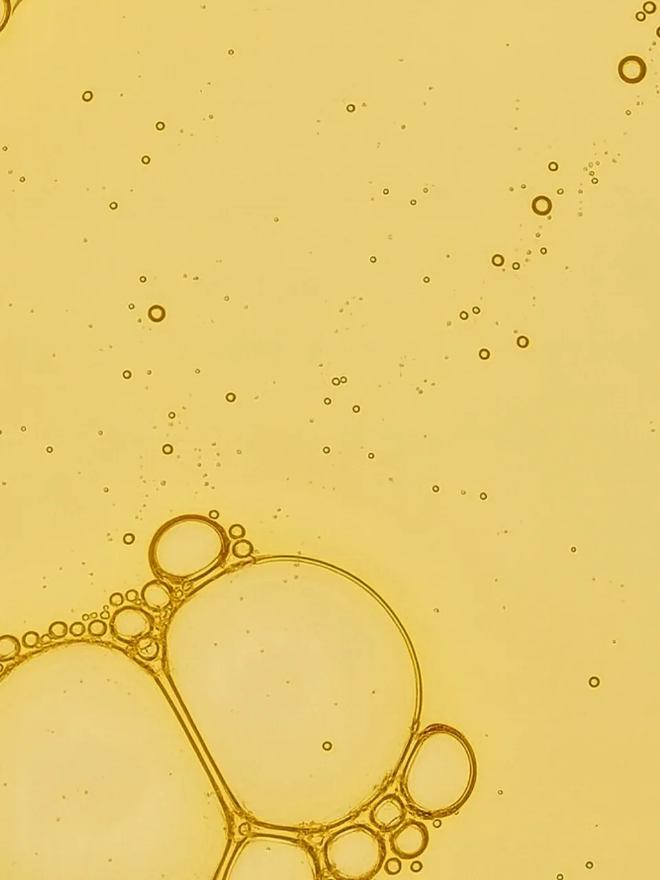 sachajuan hair bonding visual.webp