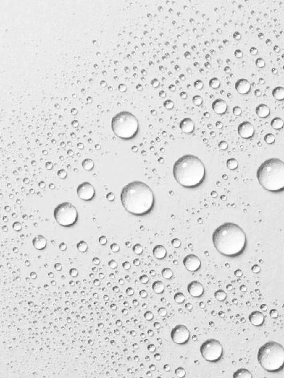 sachajuan leave in visual.webp