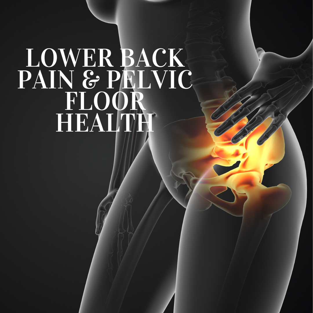 Lower Back Pain: The Role of Pelvic Floor Strengthening and Osteopathy