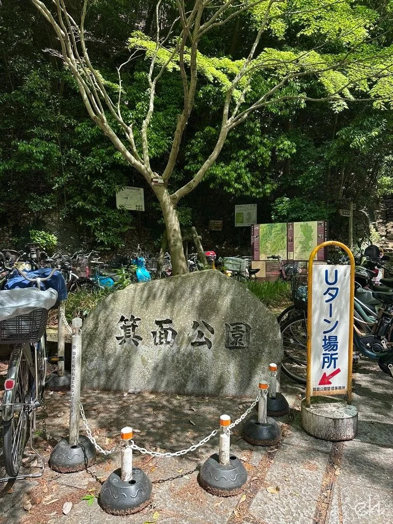 1370FC87-1A45-4E9D-AA33-824B30EF4C7C_1_105_c.jpg