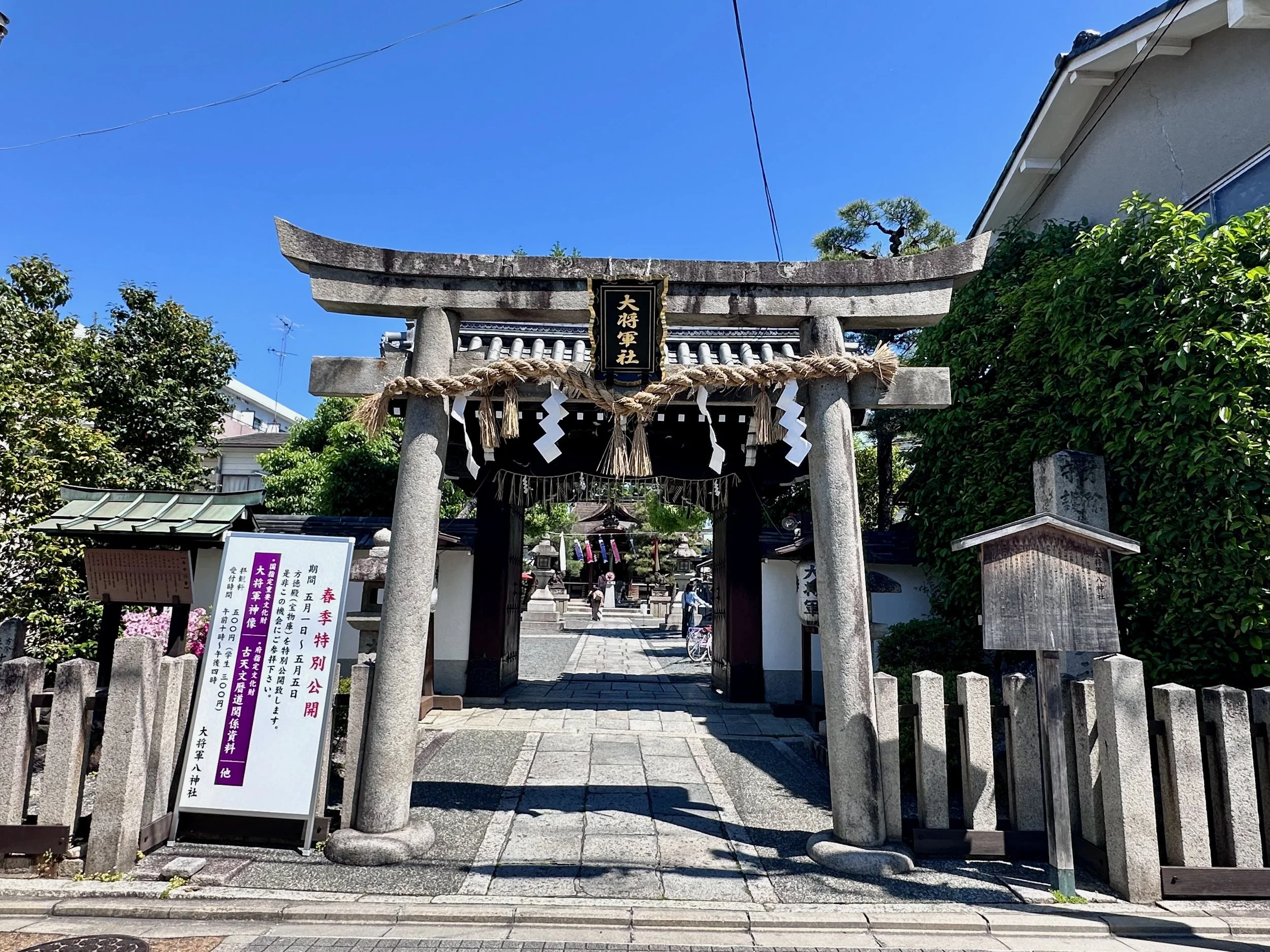 IMG_0883.jpeg