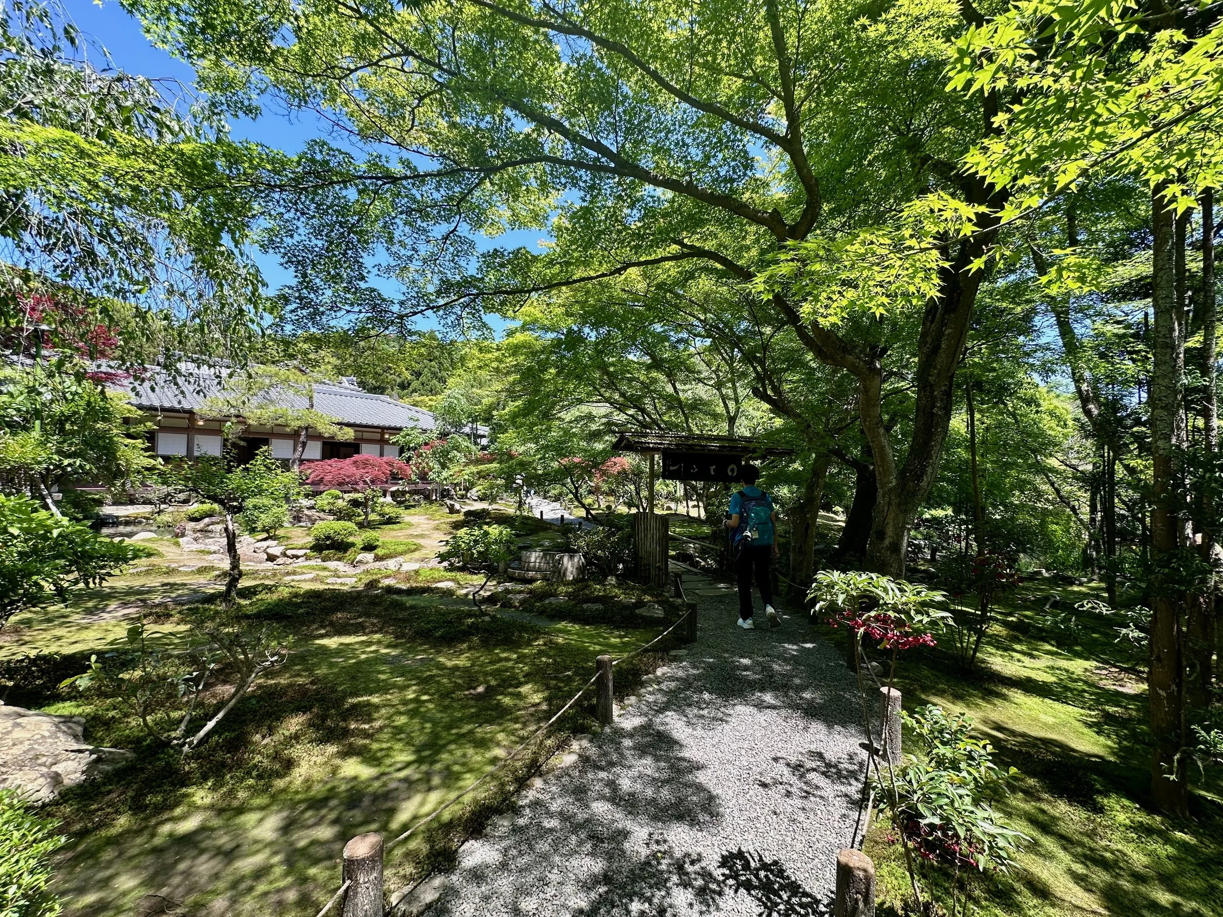 IMG_0966.jpeg