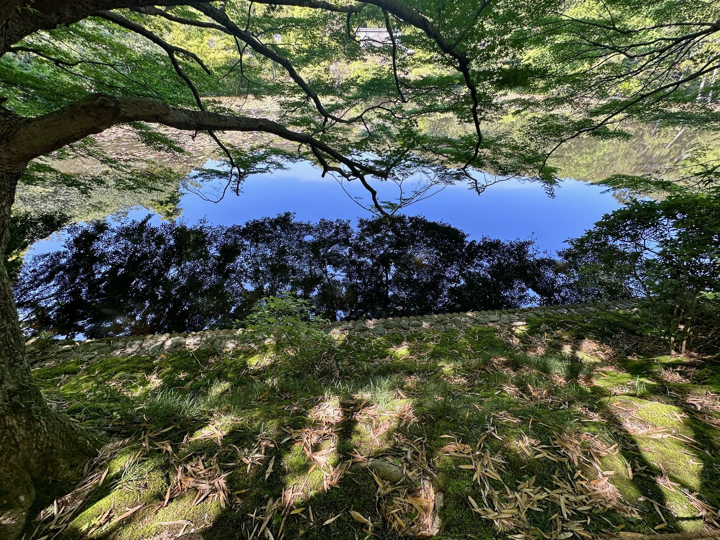 IMG_1012.jpeg
