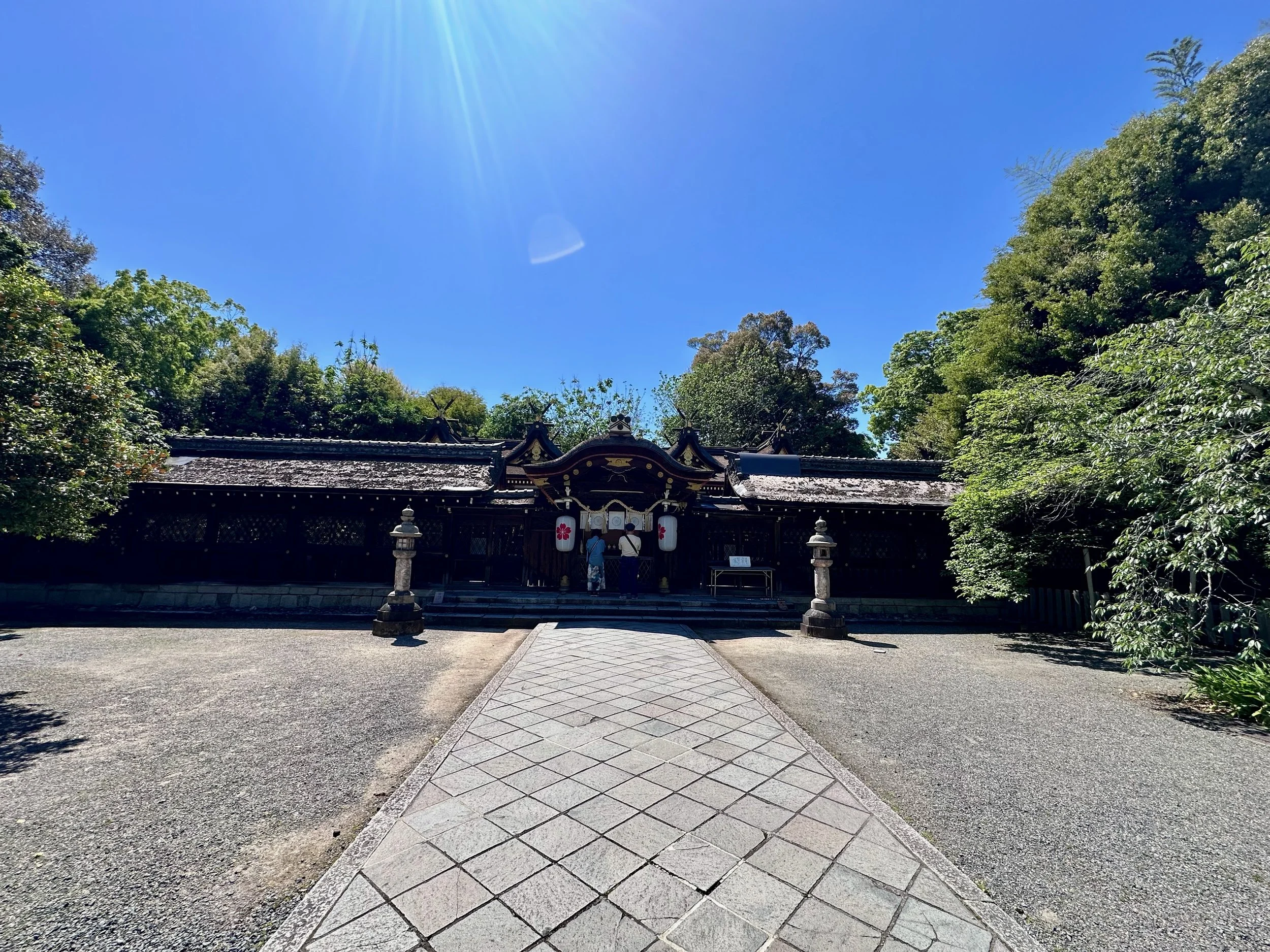 IMG_1027.jpeg