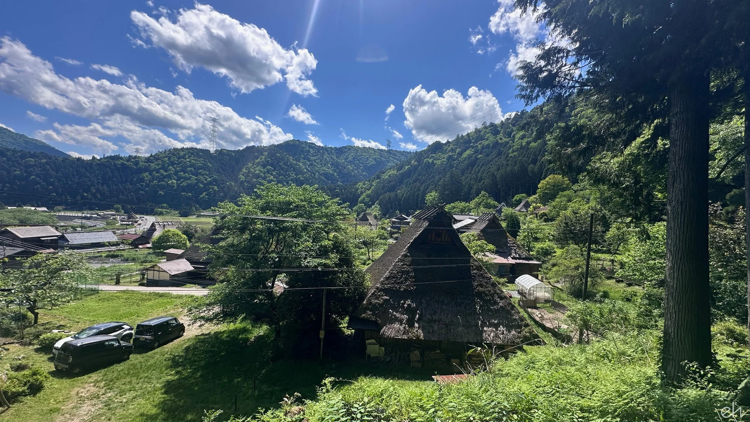 IMG_2018.jpg