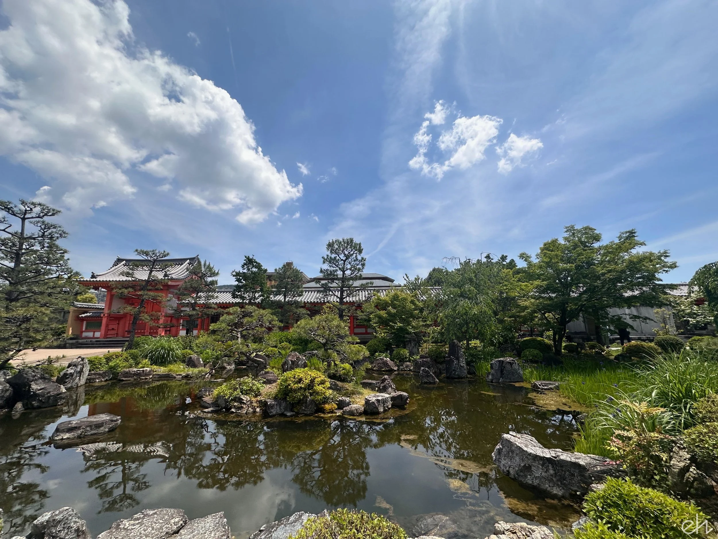 IMG_2990.jpg