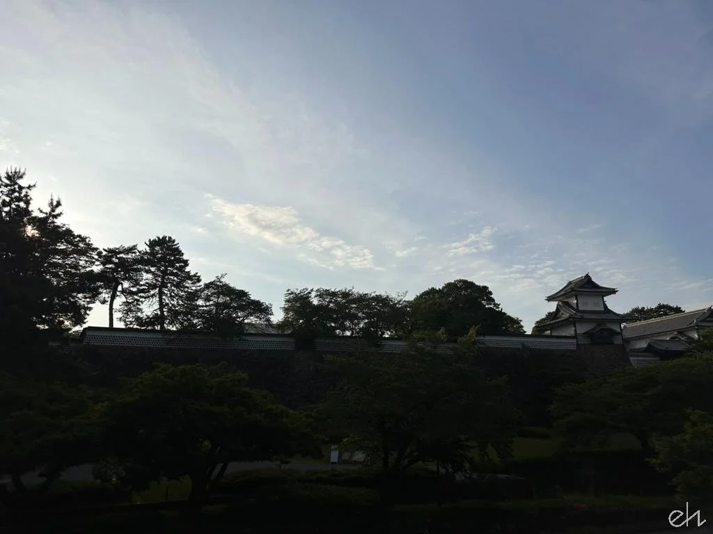 03FF7260-D809-4BC0-A5FB-AA6C38AF3C7A_1_105_c.jpg