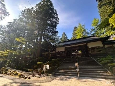 0392E6ED-37D9-48F5-9F48-9AF9096BAEED_4_5005_c.jpg