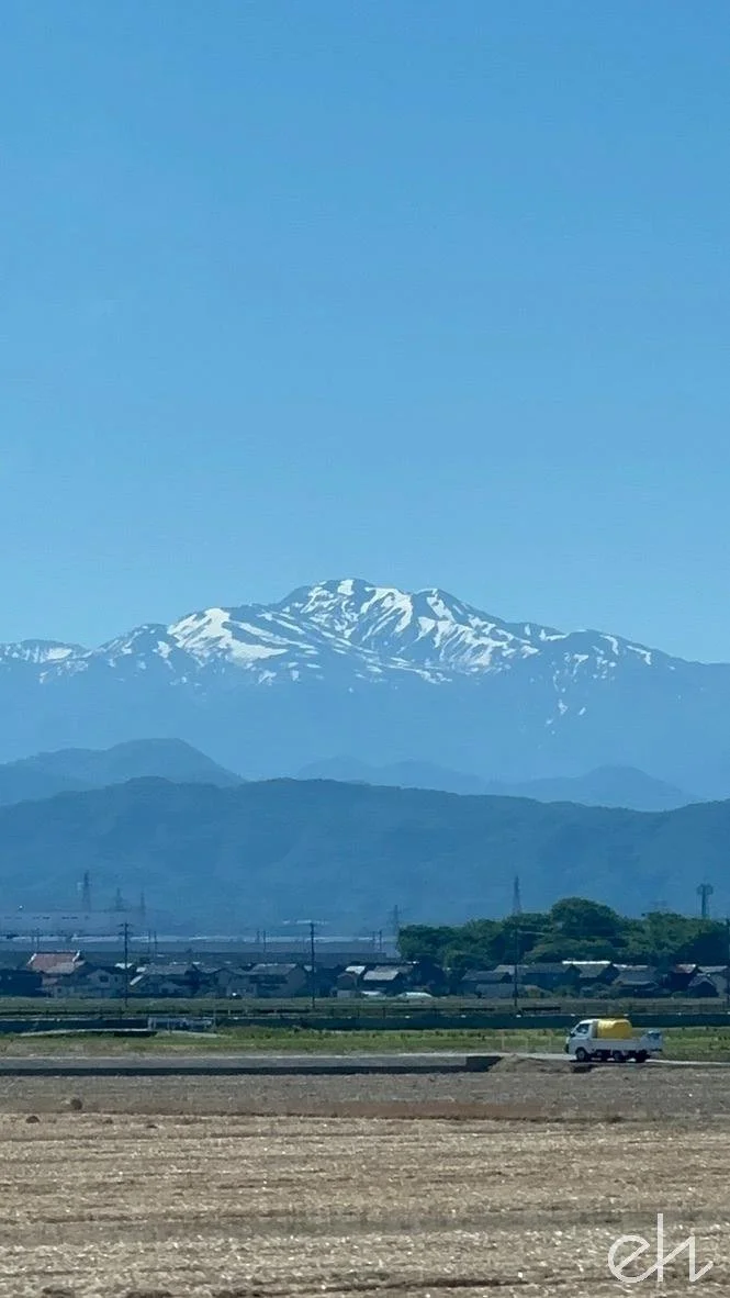 3E76E349-D3B2-49CD-B2E2-18EF8A24DE94_1_105_c.jpg