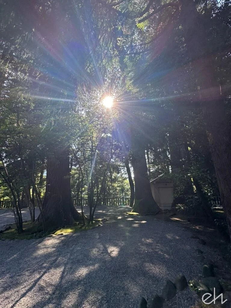 51E51177-6EF2-44DB-9403-C1ED96AC7436_1_105_c.jpg