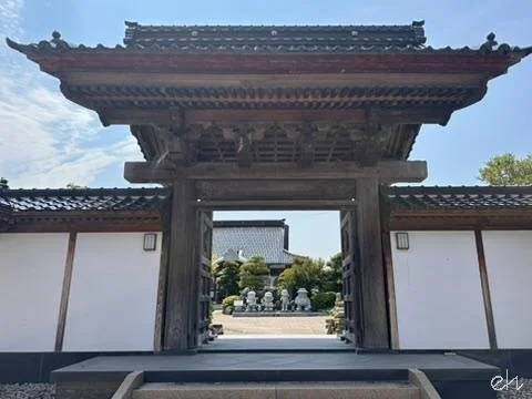 5DCA3633-99AB-49EE-B167-D28667730A44_4_5005_c.jpg
