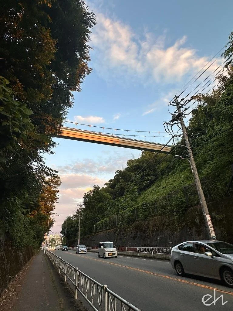 DC9A5F22-3F1B-4A07-81BD-9088E6D29117_1_105_c.jpg