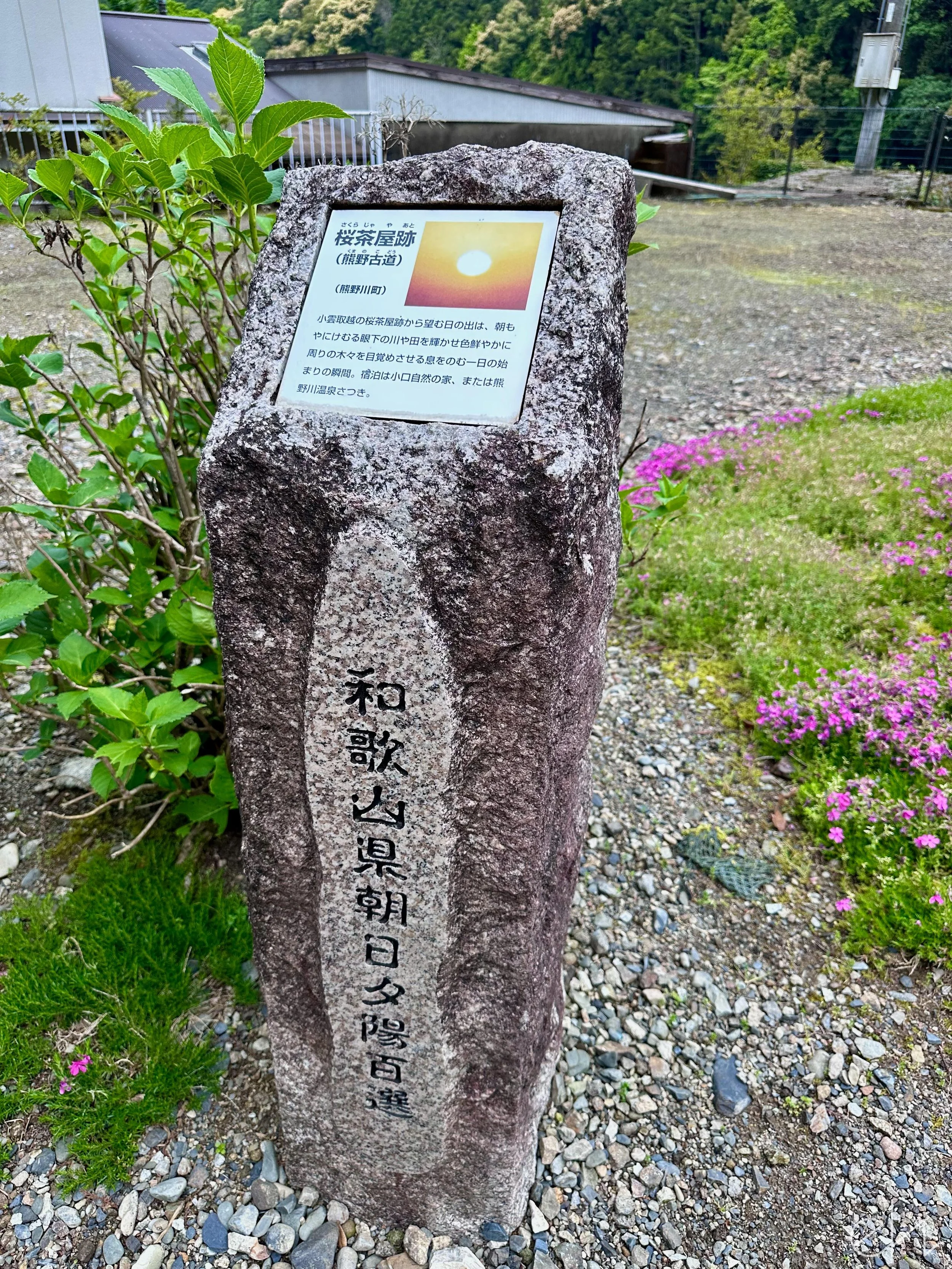 IMG_9640.jpg