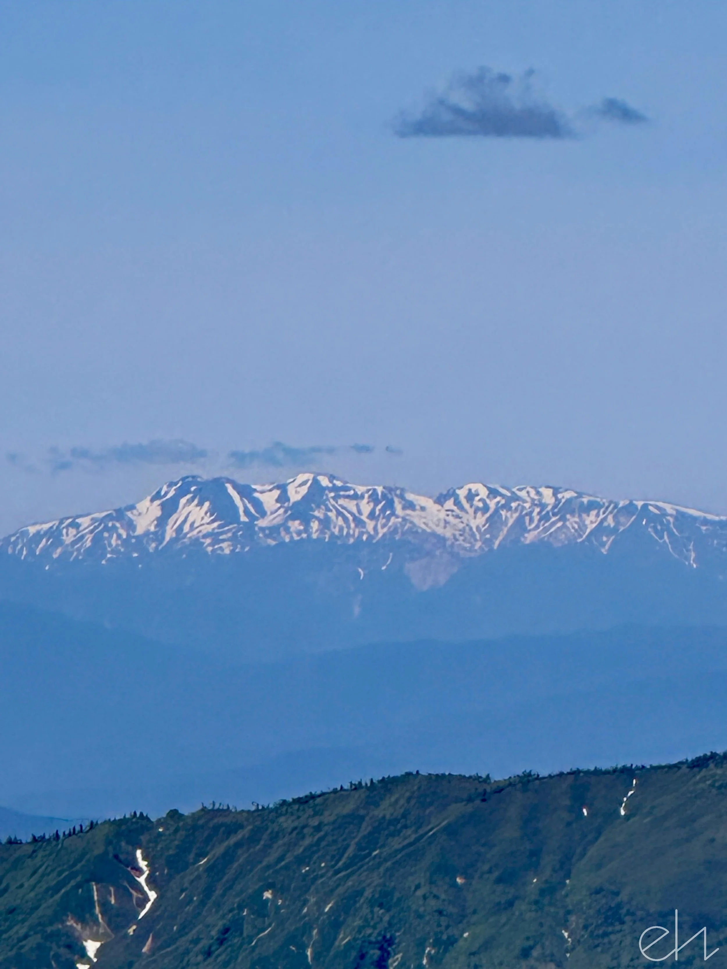 IMG_8641.jpg