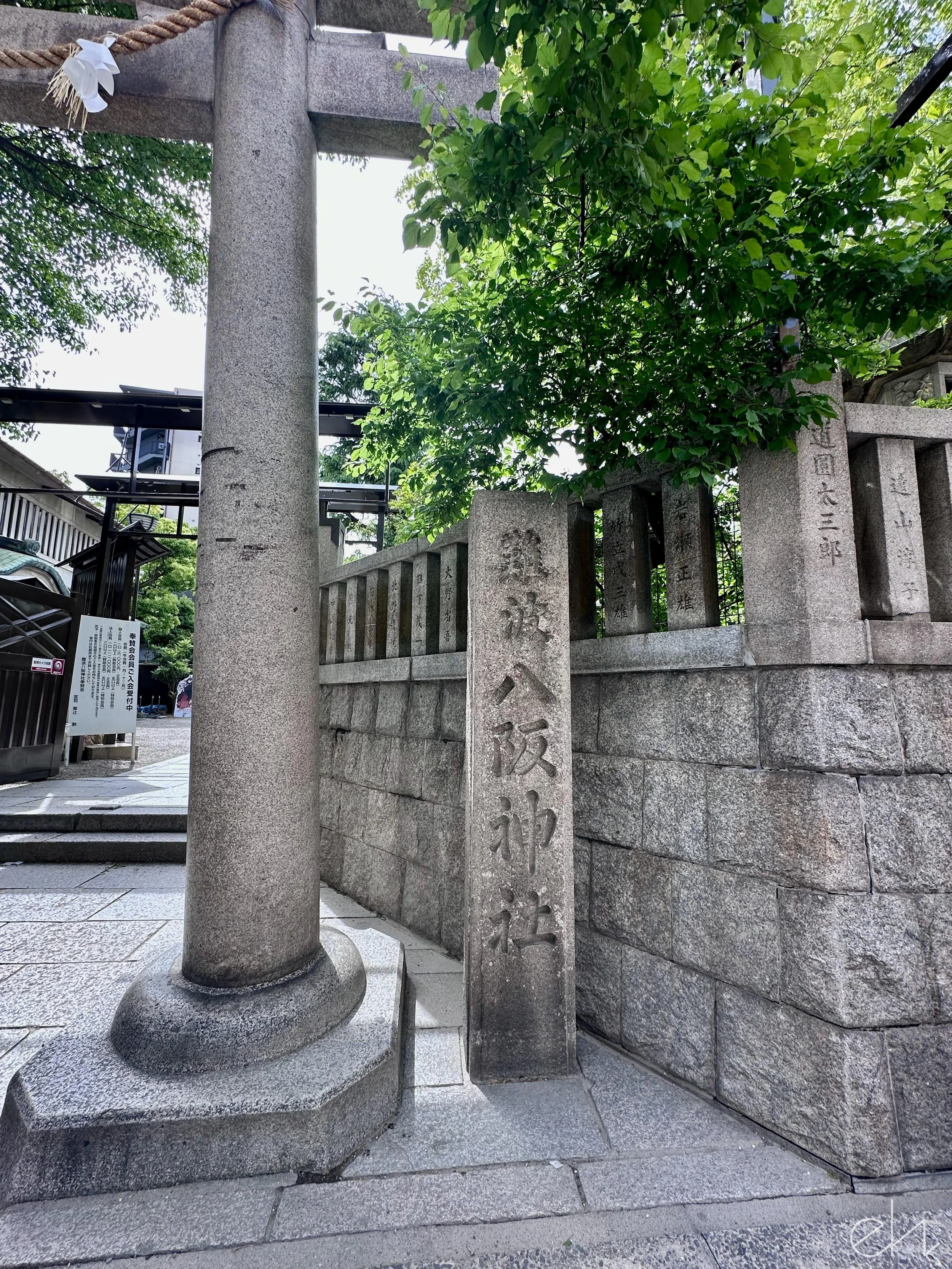 IMG_8587.jpg
