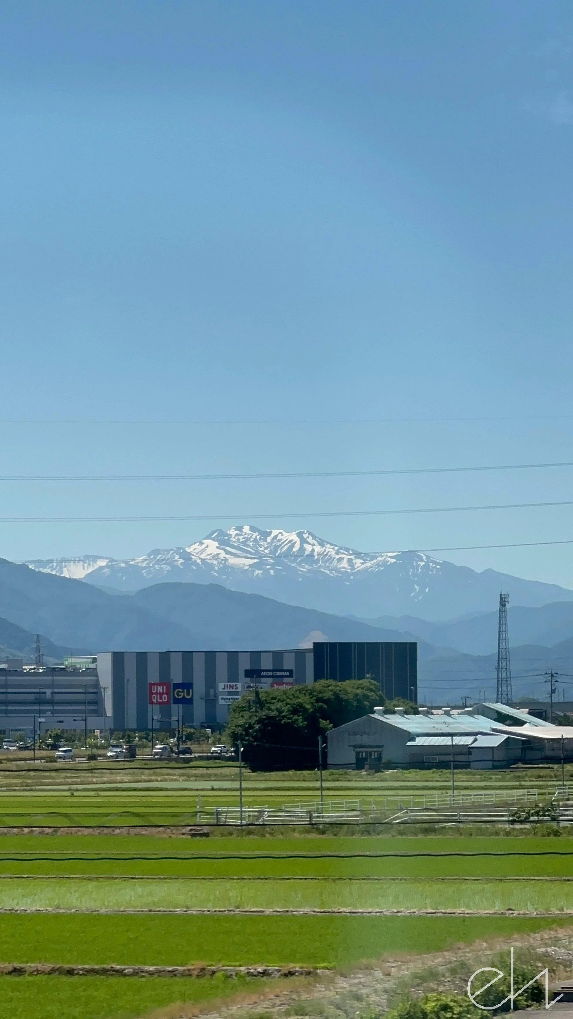 IMG_5420.jpg