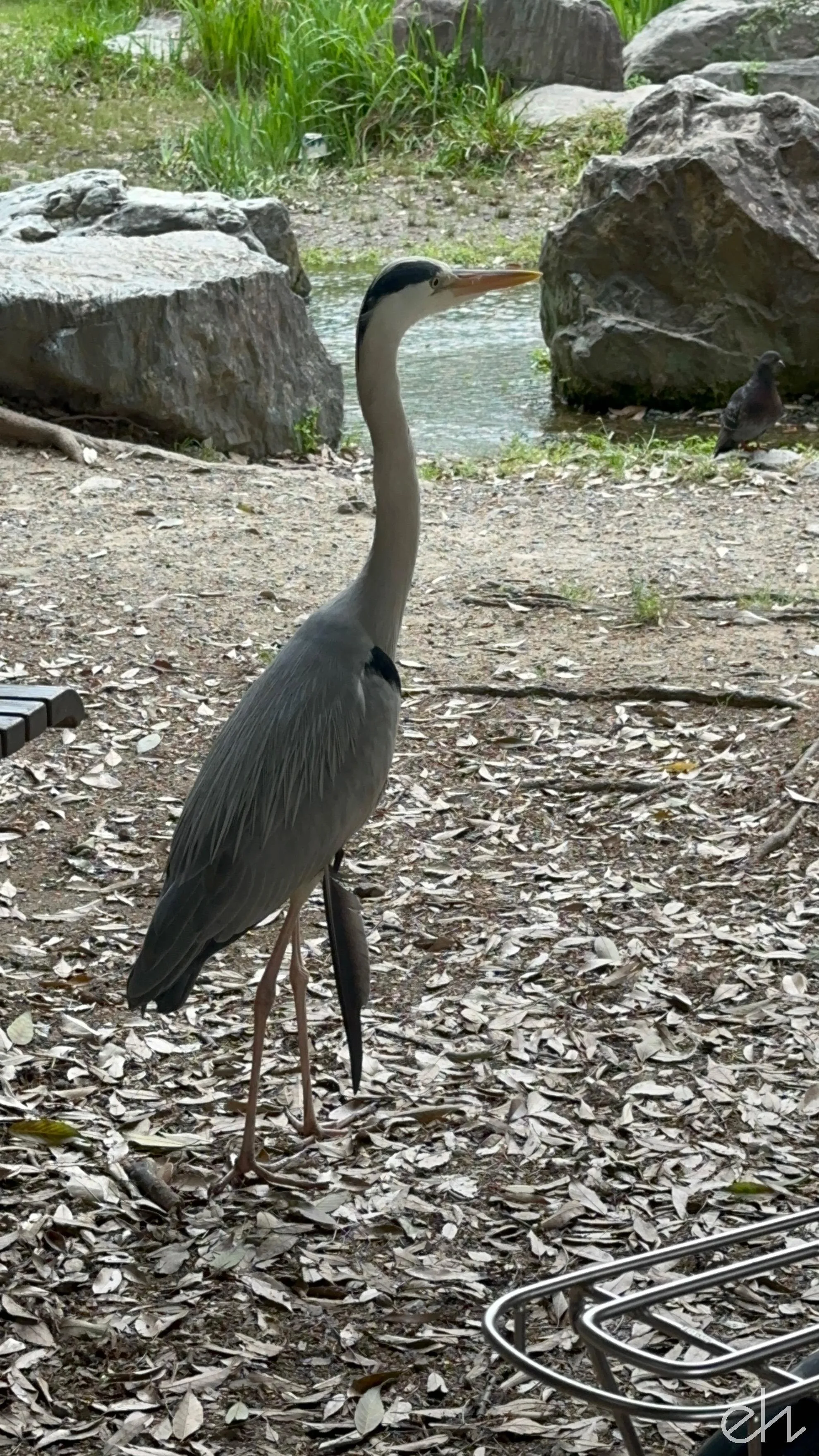 IMG_1744.jpg