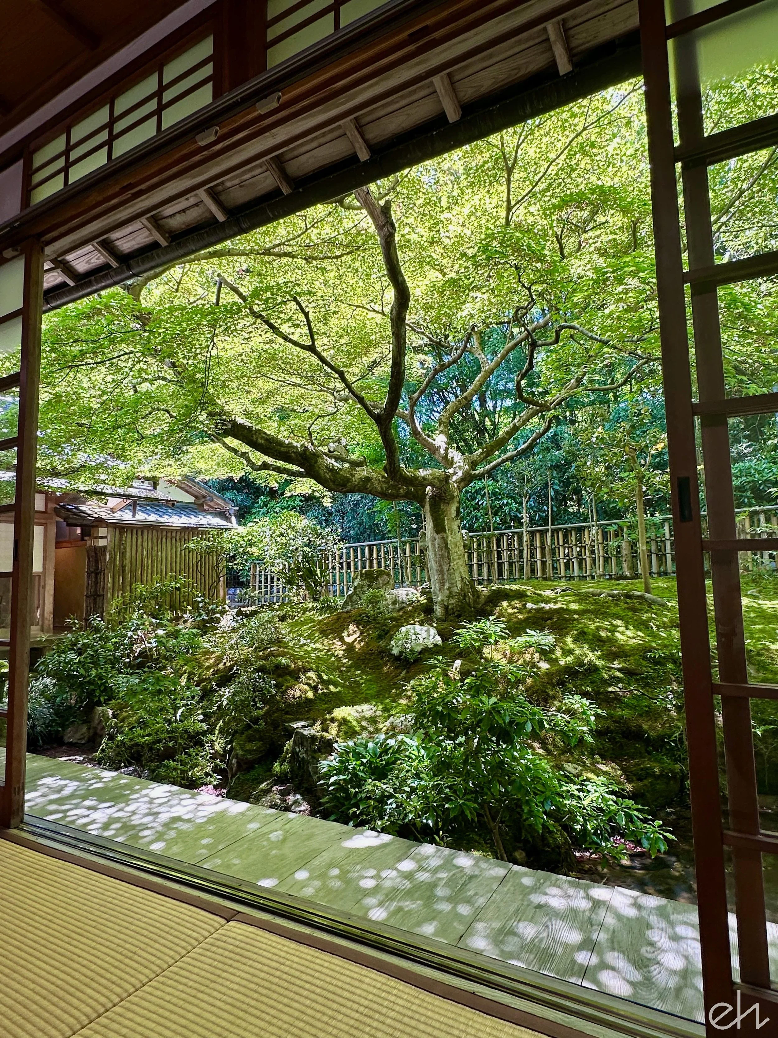 IMG_0998.jpg