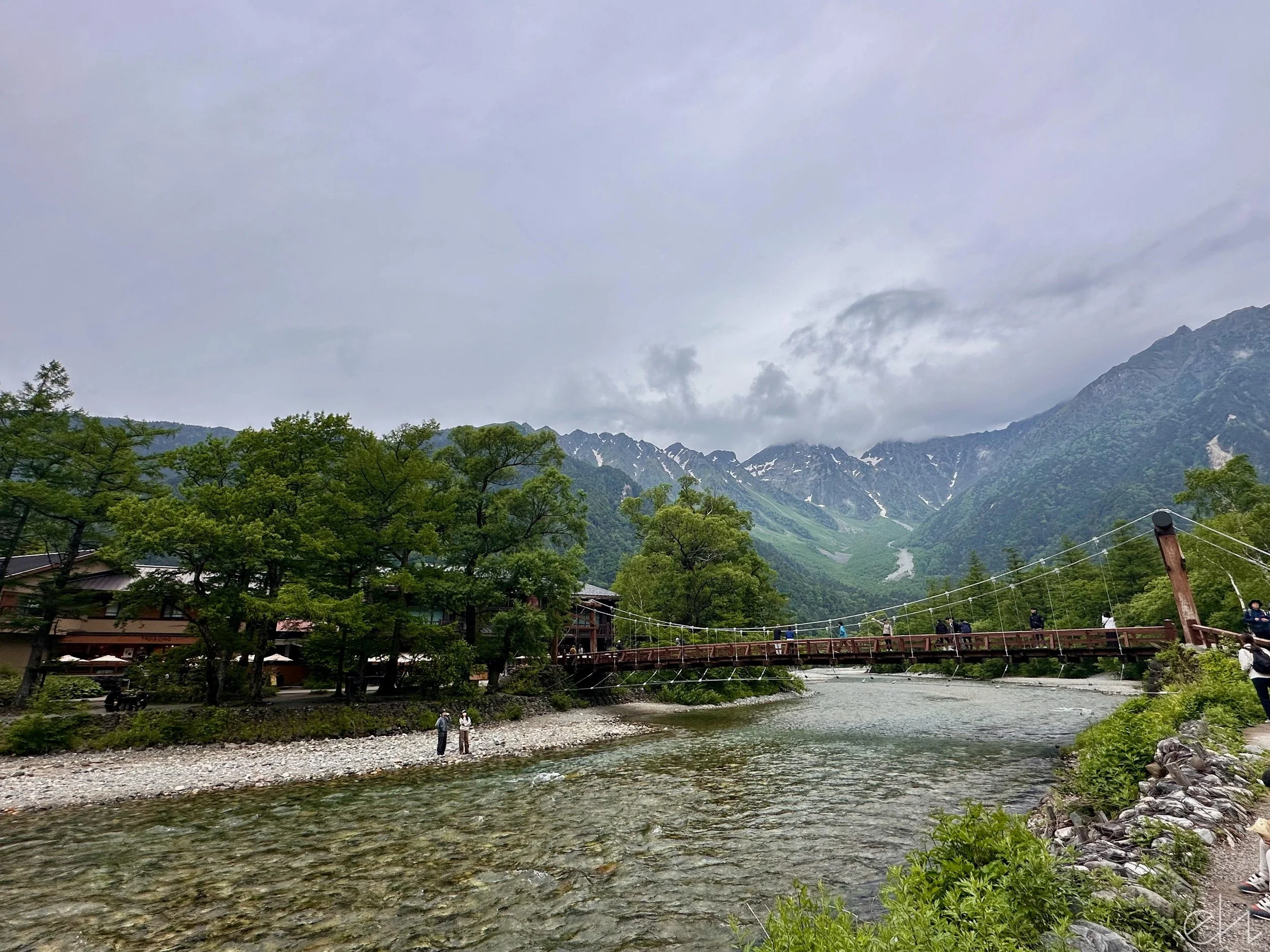 IMG_9500.jpg