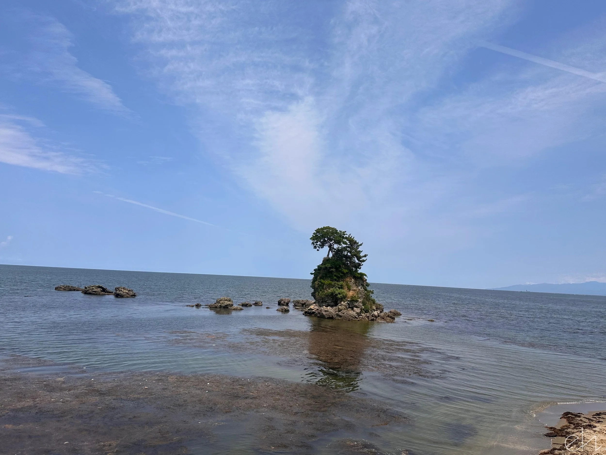 IMG_6754.jpg