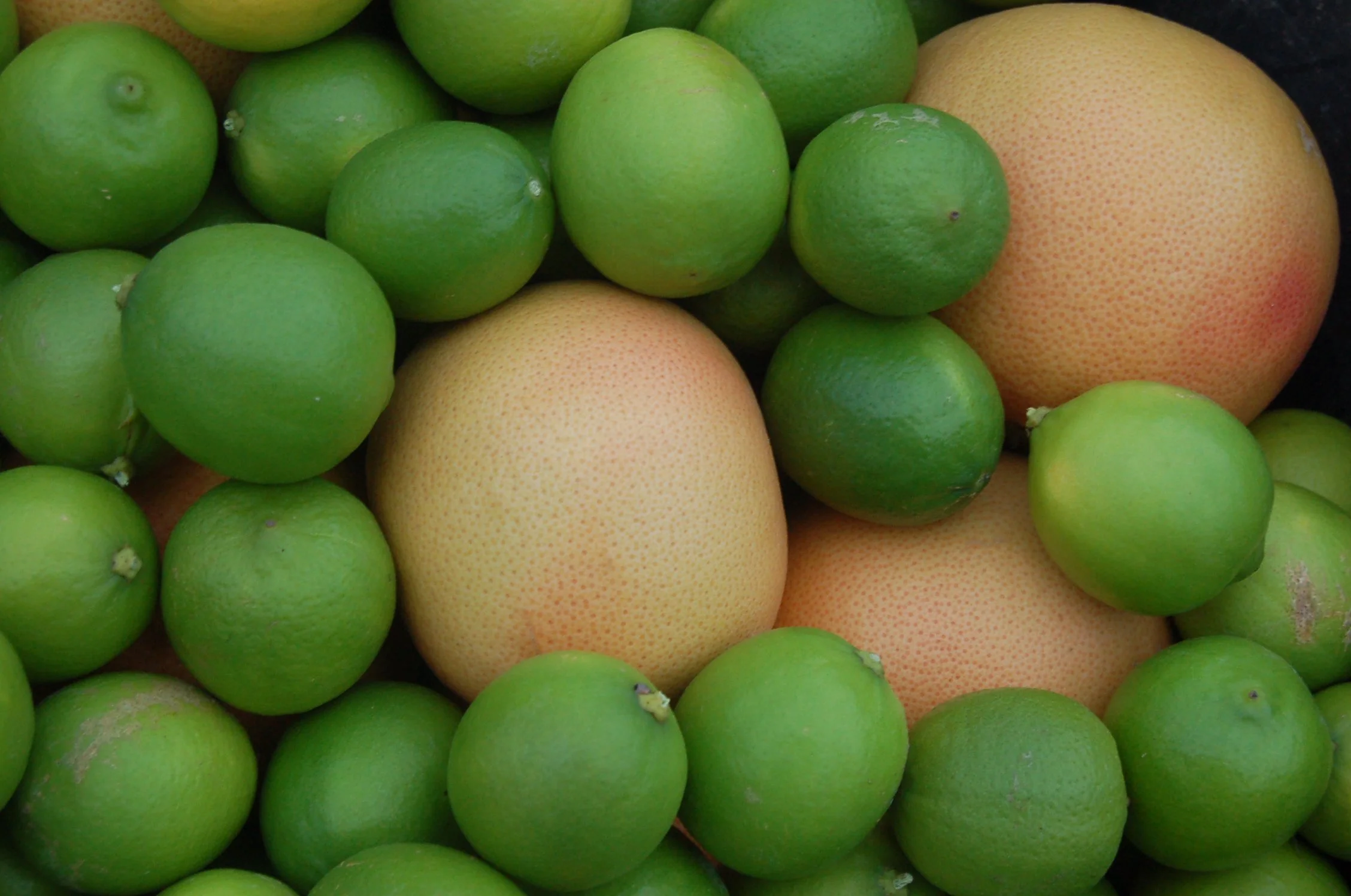 Pomelos+limas.JPG