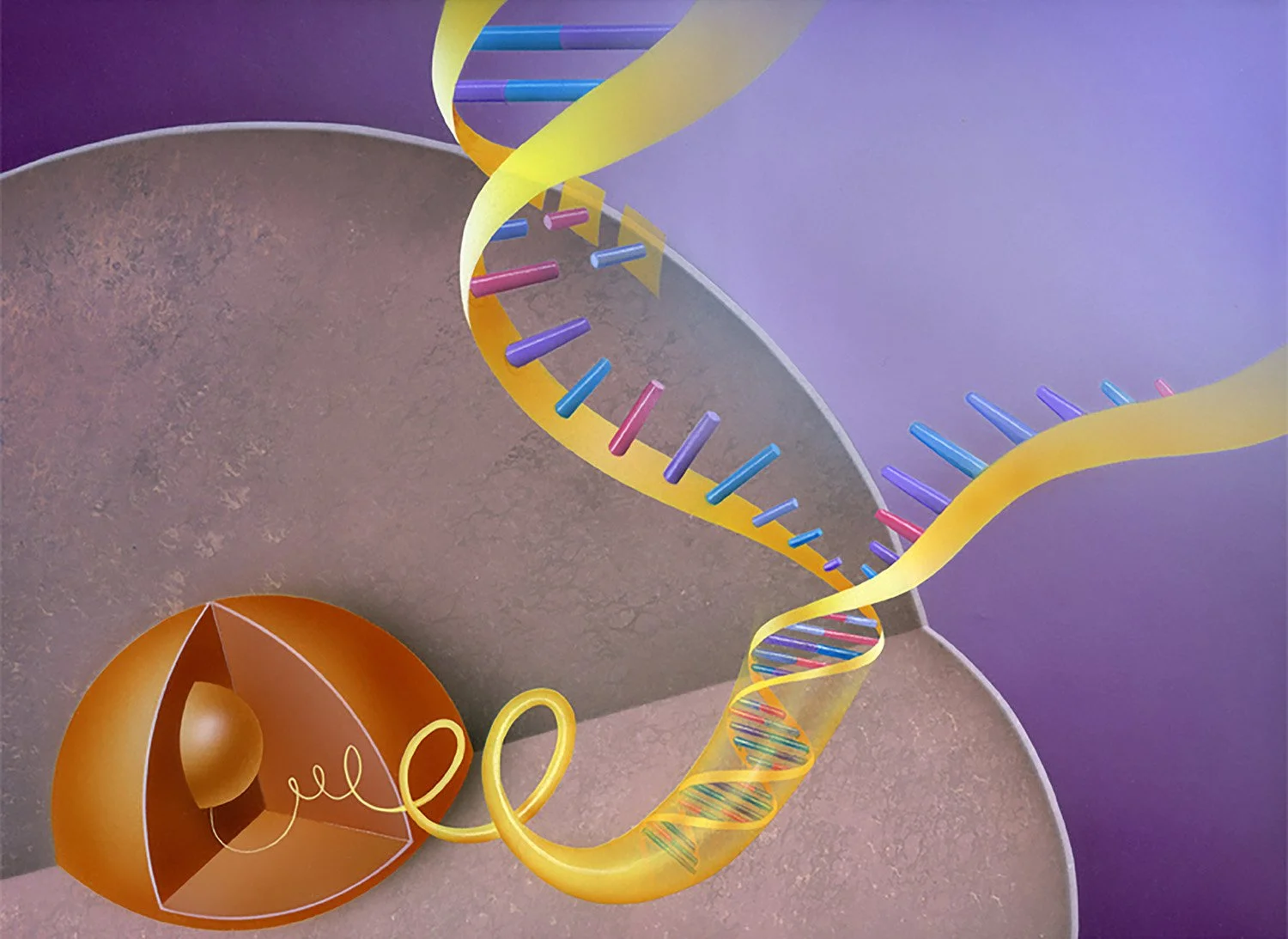 promega-dna.jpg
