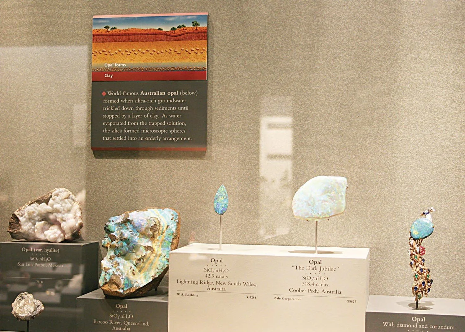 opals-display.jpg