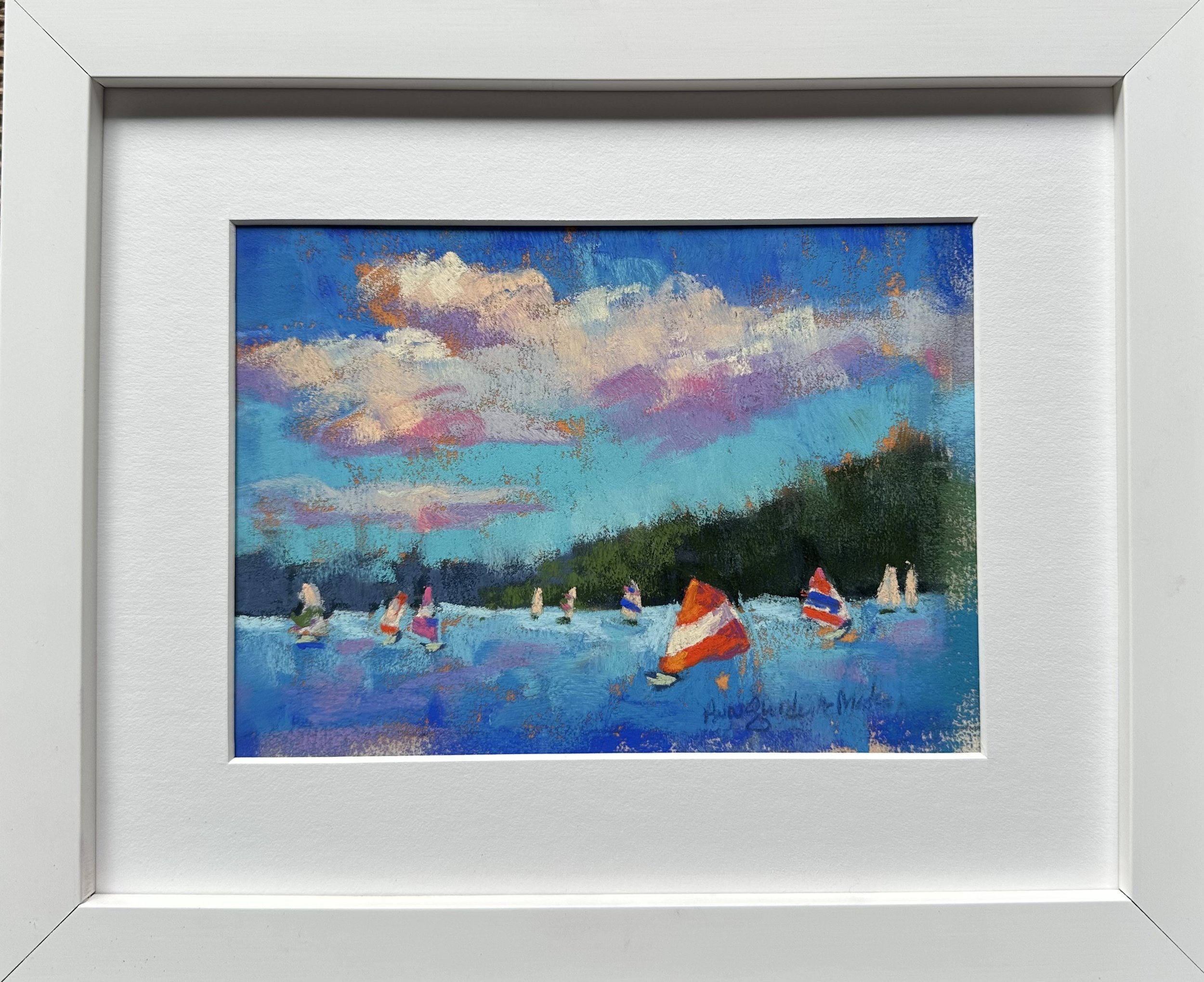 Sunfish Regatta 6 .jpeg