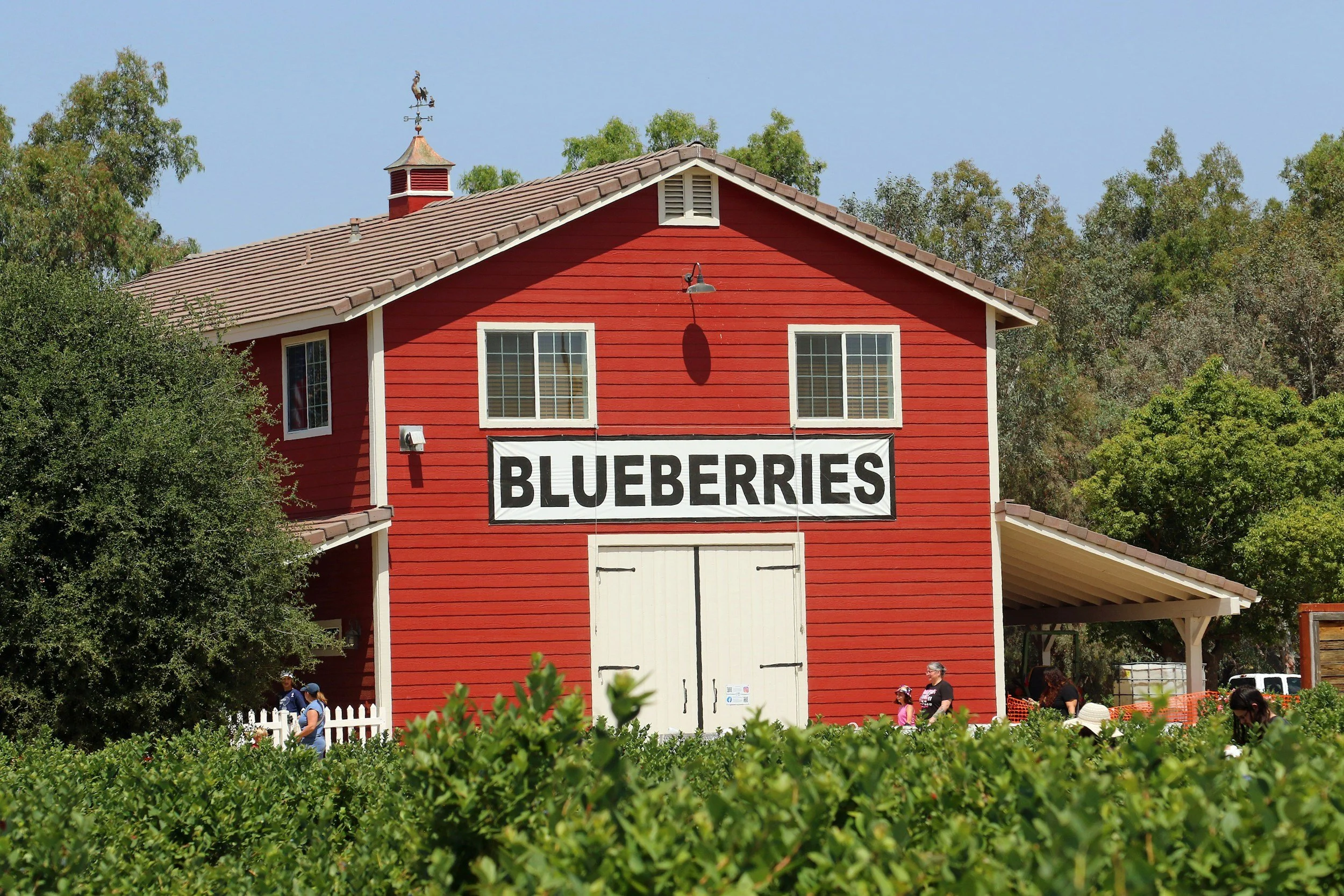 TFP Spotlight: Seasonal Eating Advantage&nbsp;