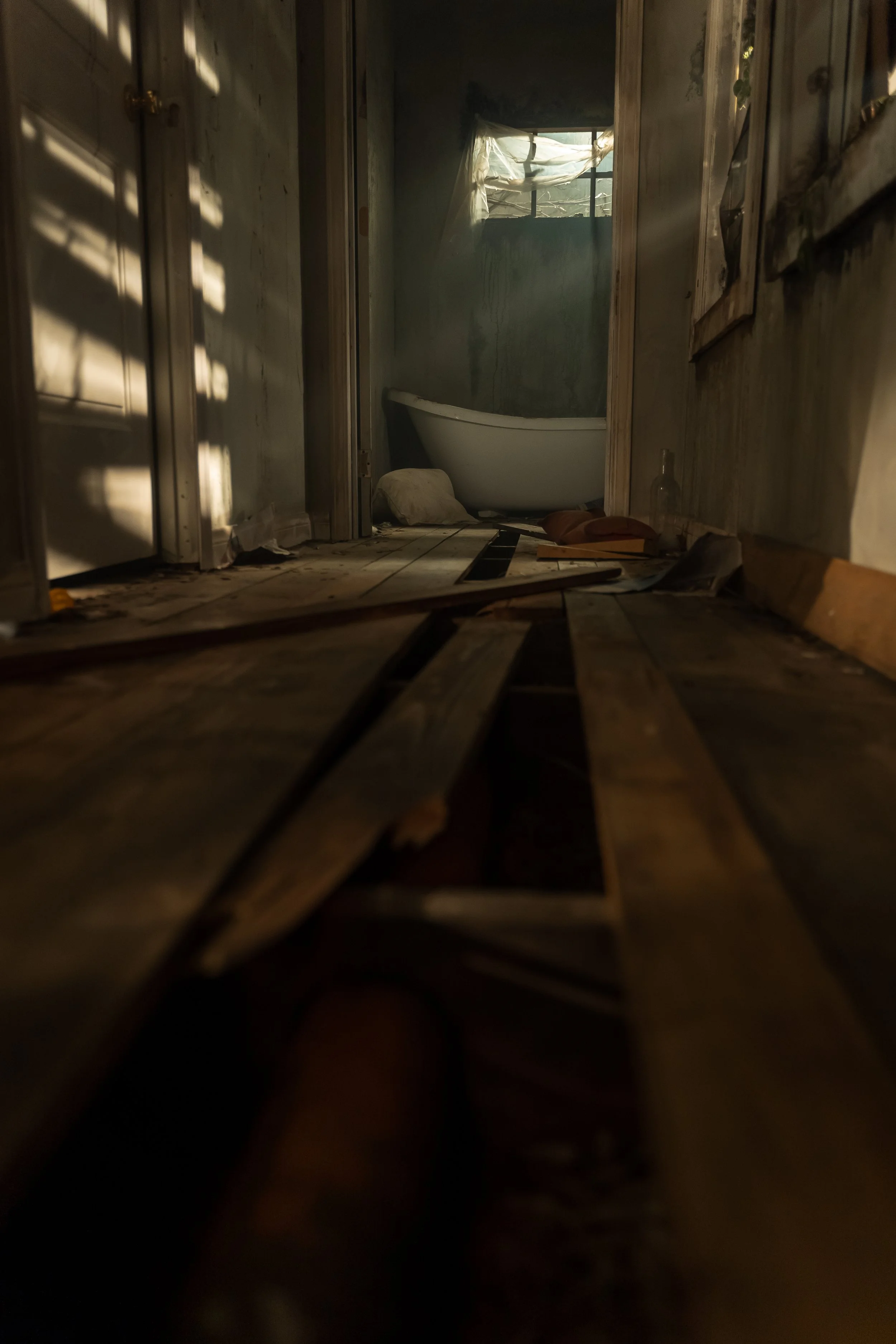 D3 Absolution-163.jpg