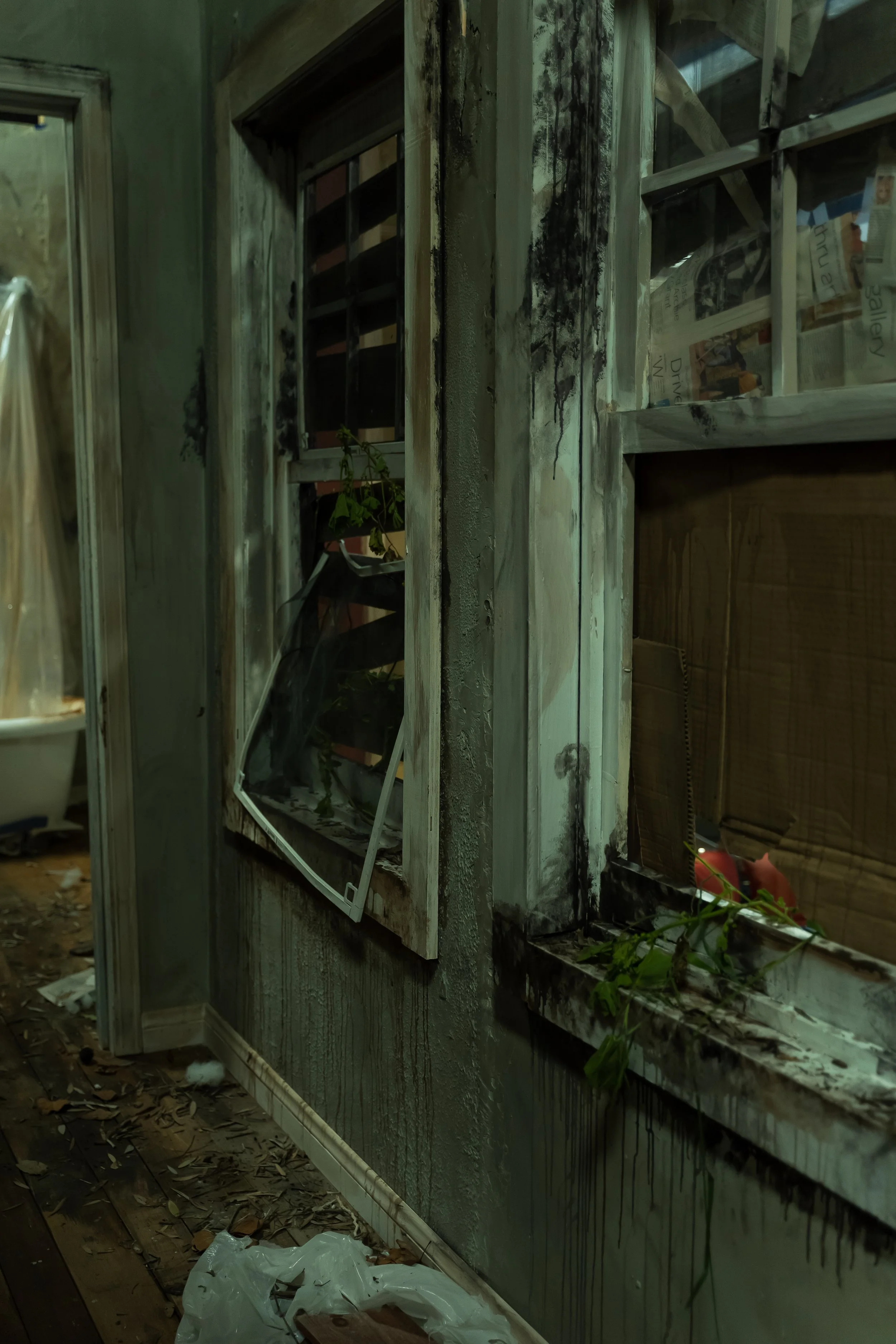 D2 absolution-38.jpg