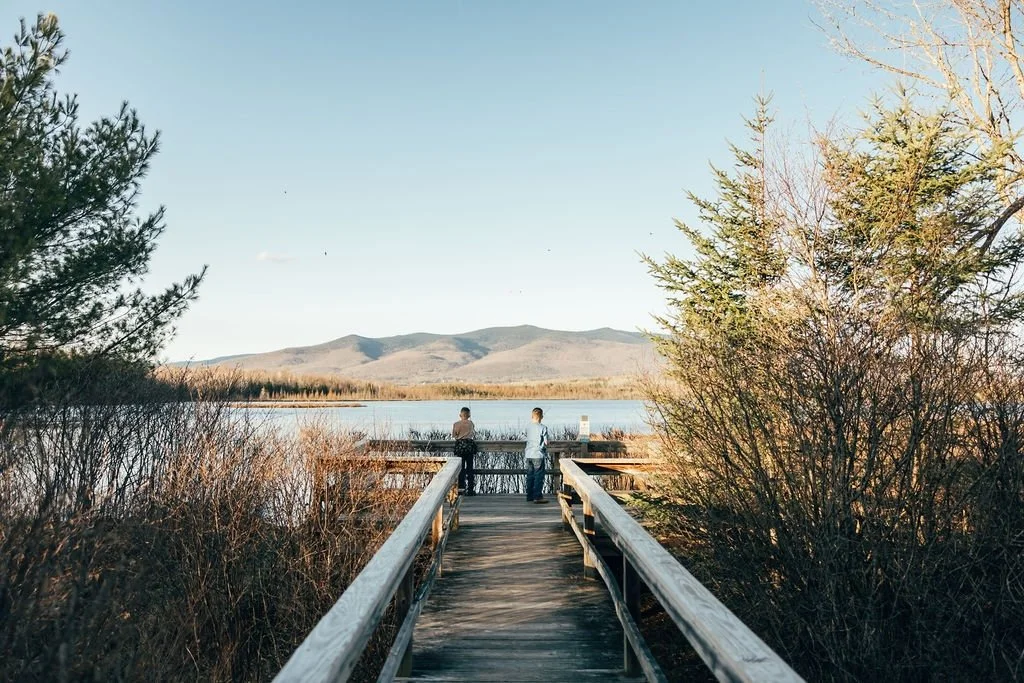A wooden dock extends over a body of water, leading to two people standing at the edge. Surrounding the dock are bushes and trees, with mountains in the distance under a clear sky.