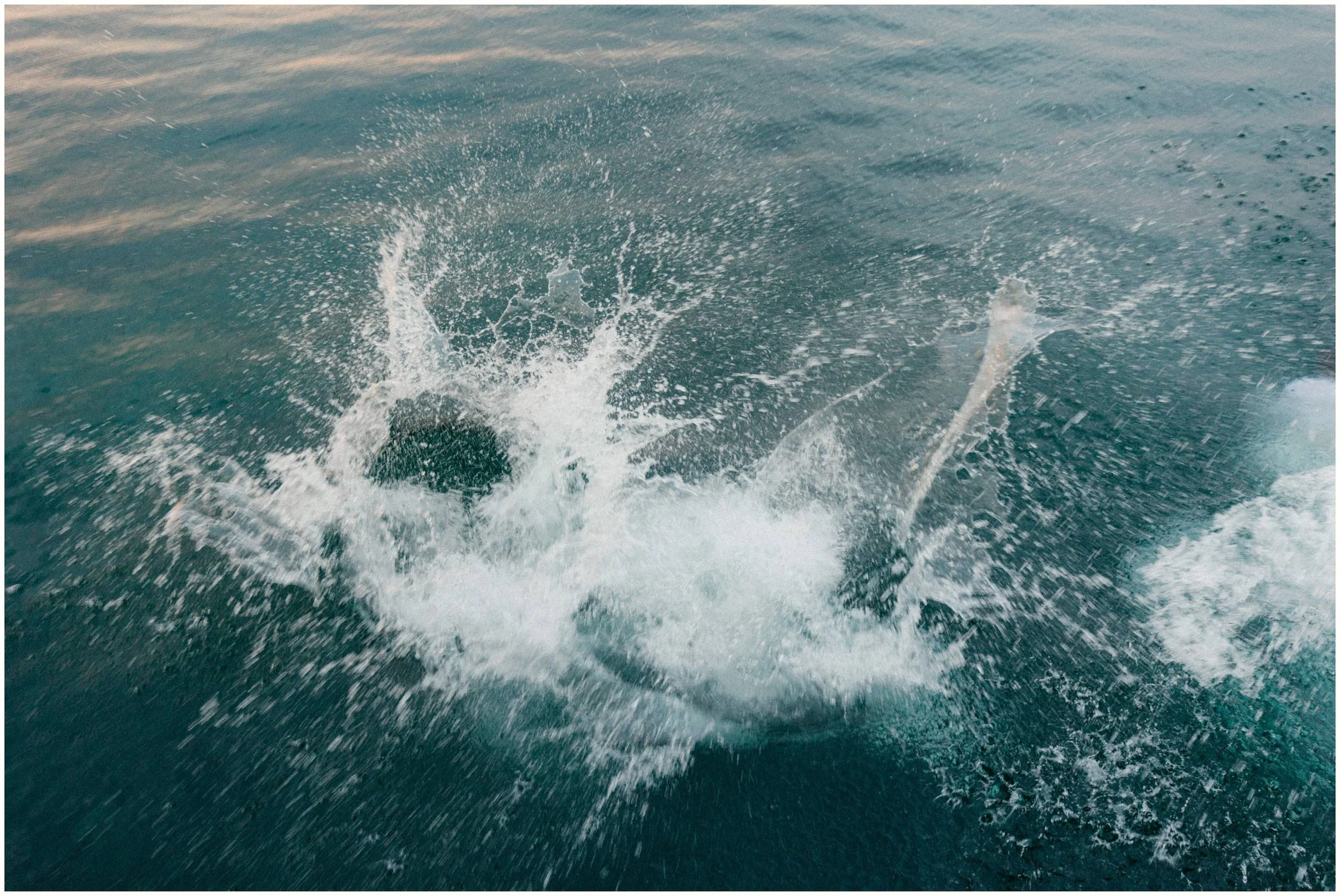 swimming at wedding reception