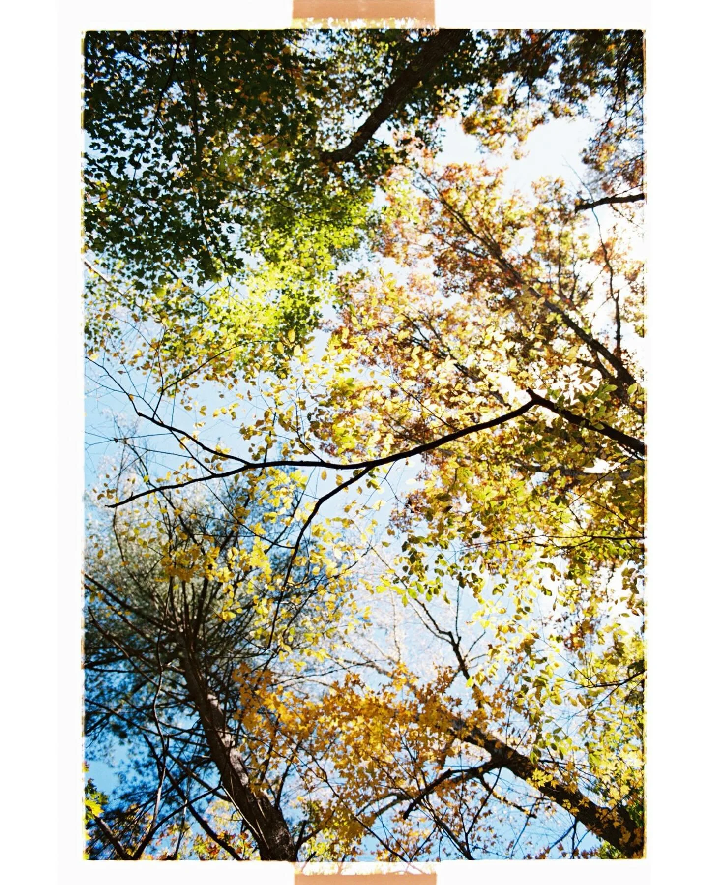 We opted for film more than digital this year when it came to documenting our family. From snowy winter walks, coffee at home and at our favorite shops, sunny summer days in Northern Michigan, and a family vacation to Virginia in mid-October. Shootin