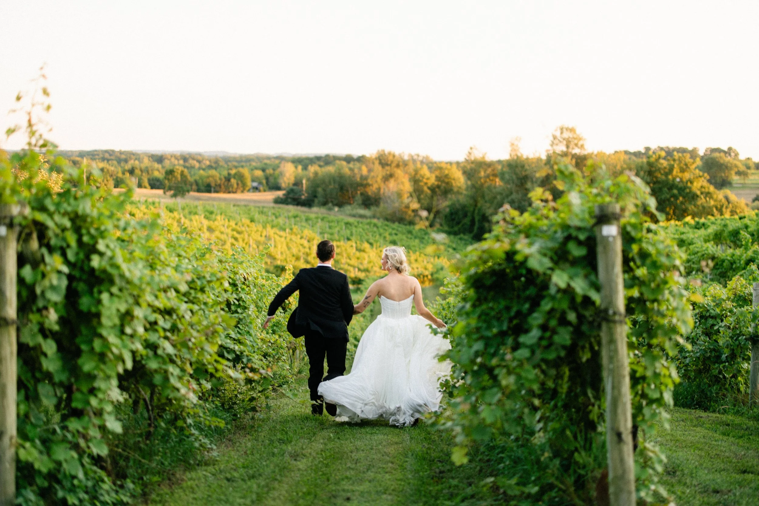 David + Christiana | Vineyard Wedding