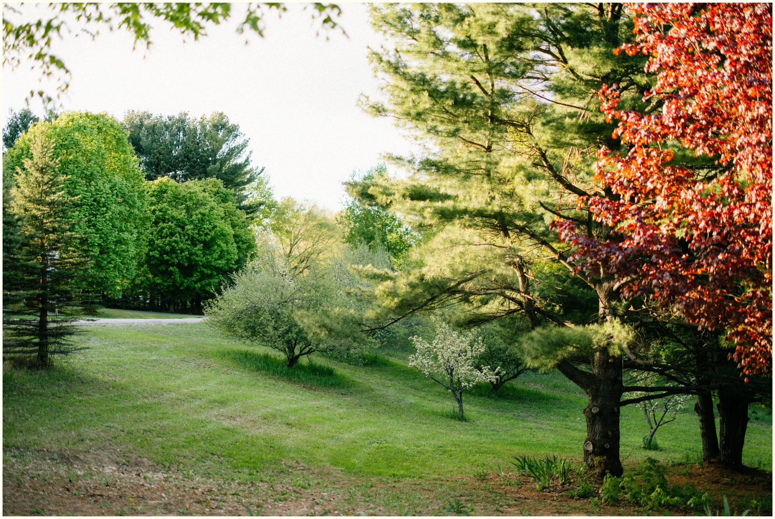 traverse city photographer