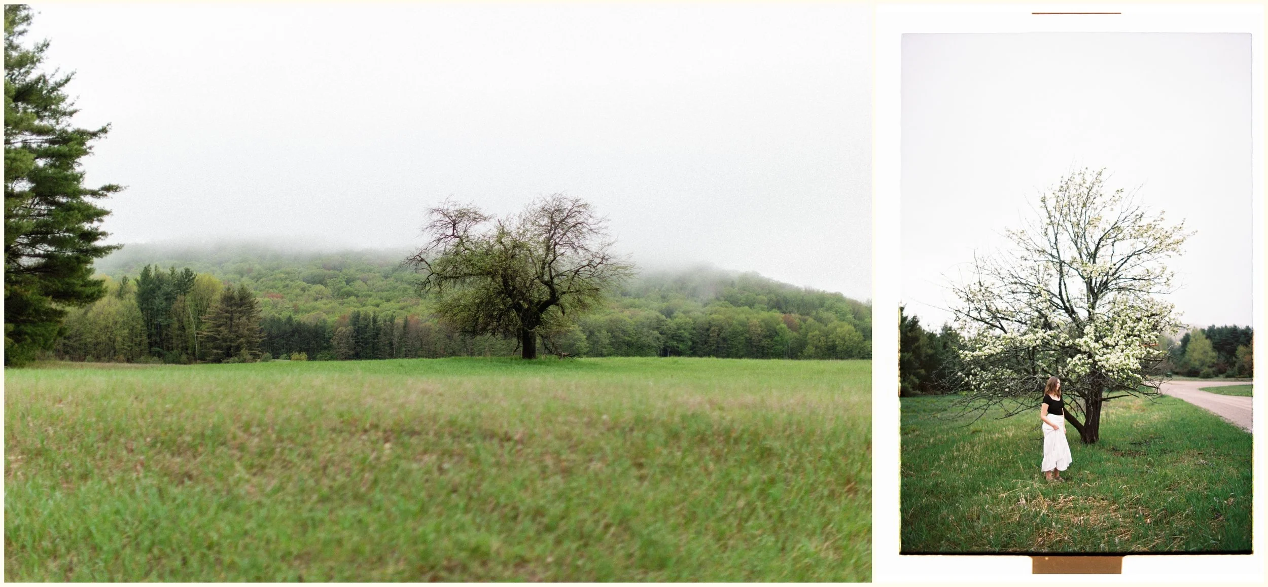 Zoe senior portraits