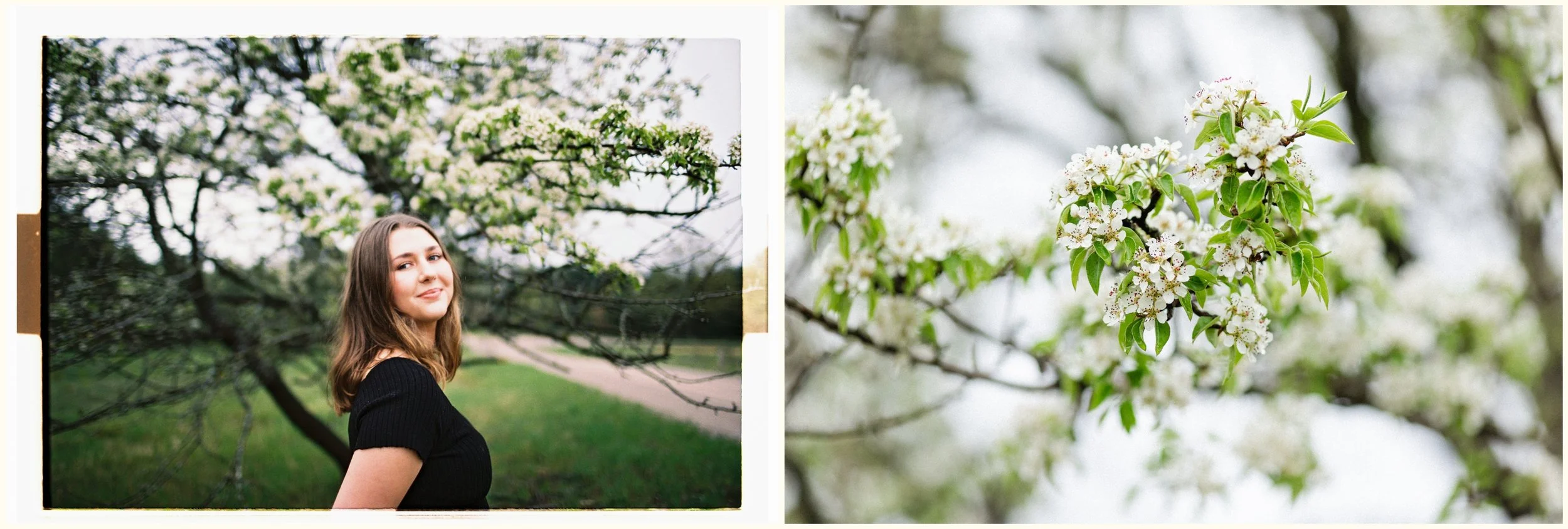 spring senior portraits