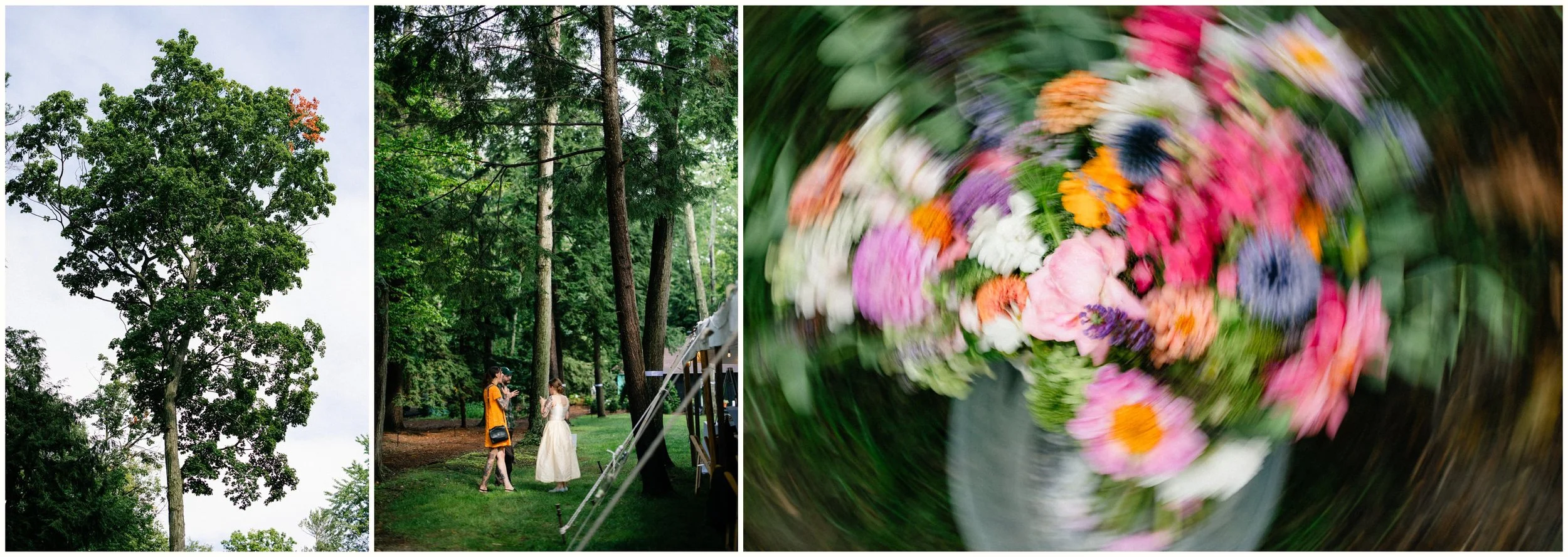 Wedding reception details