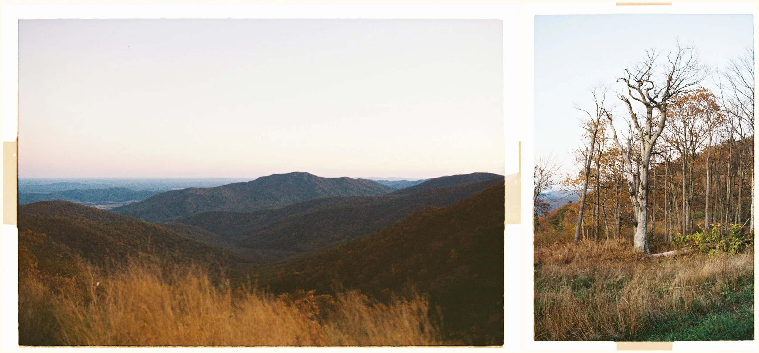 Shenandoah National Park Film Photography