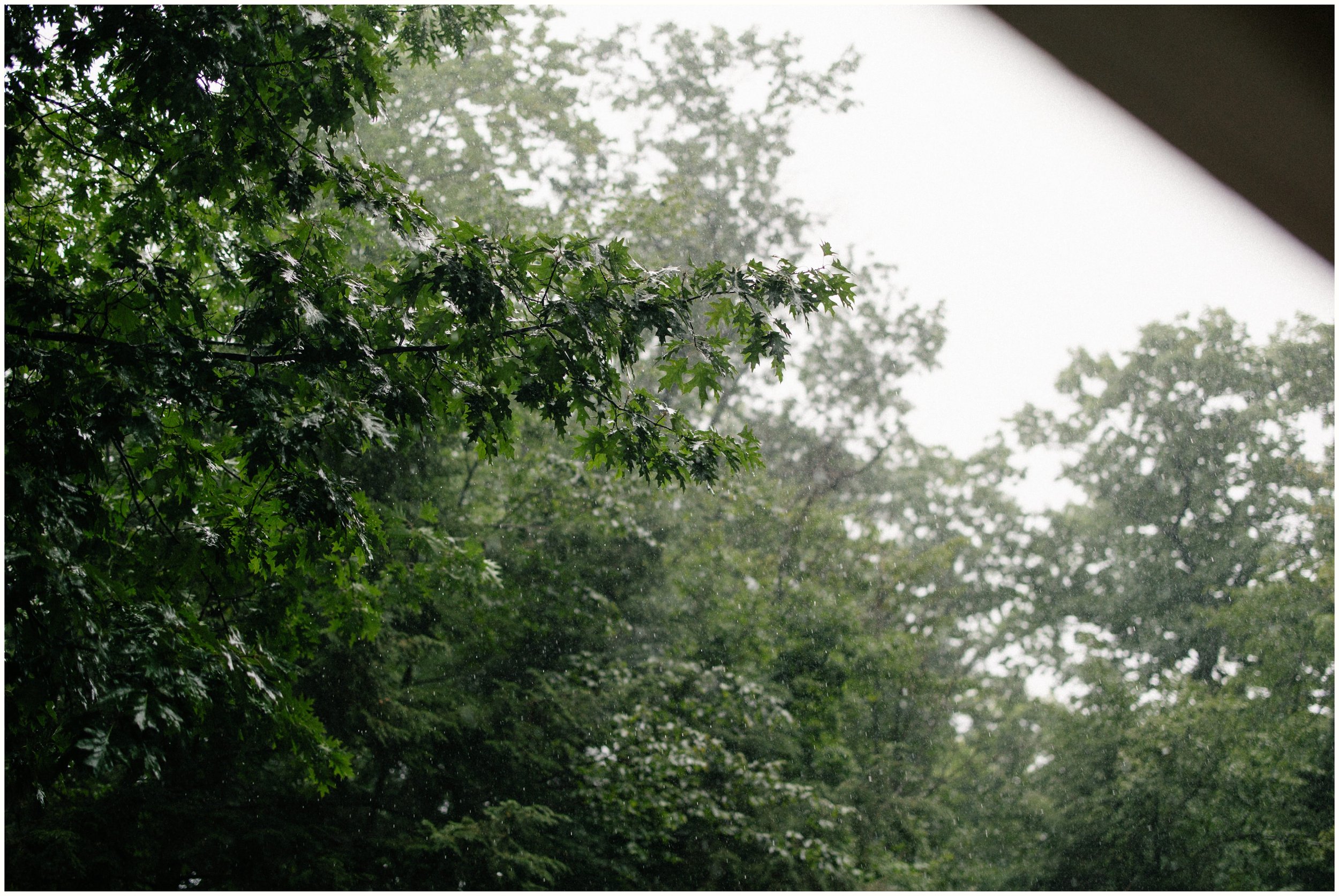 Rain