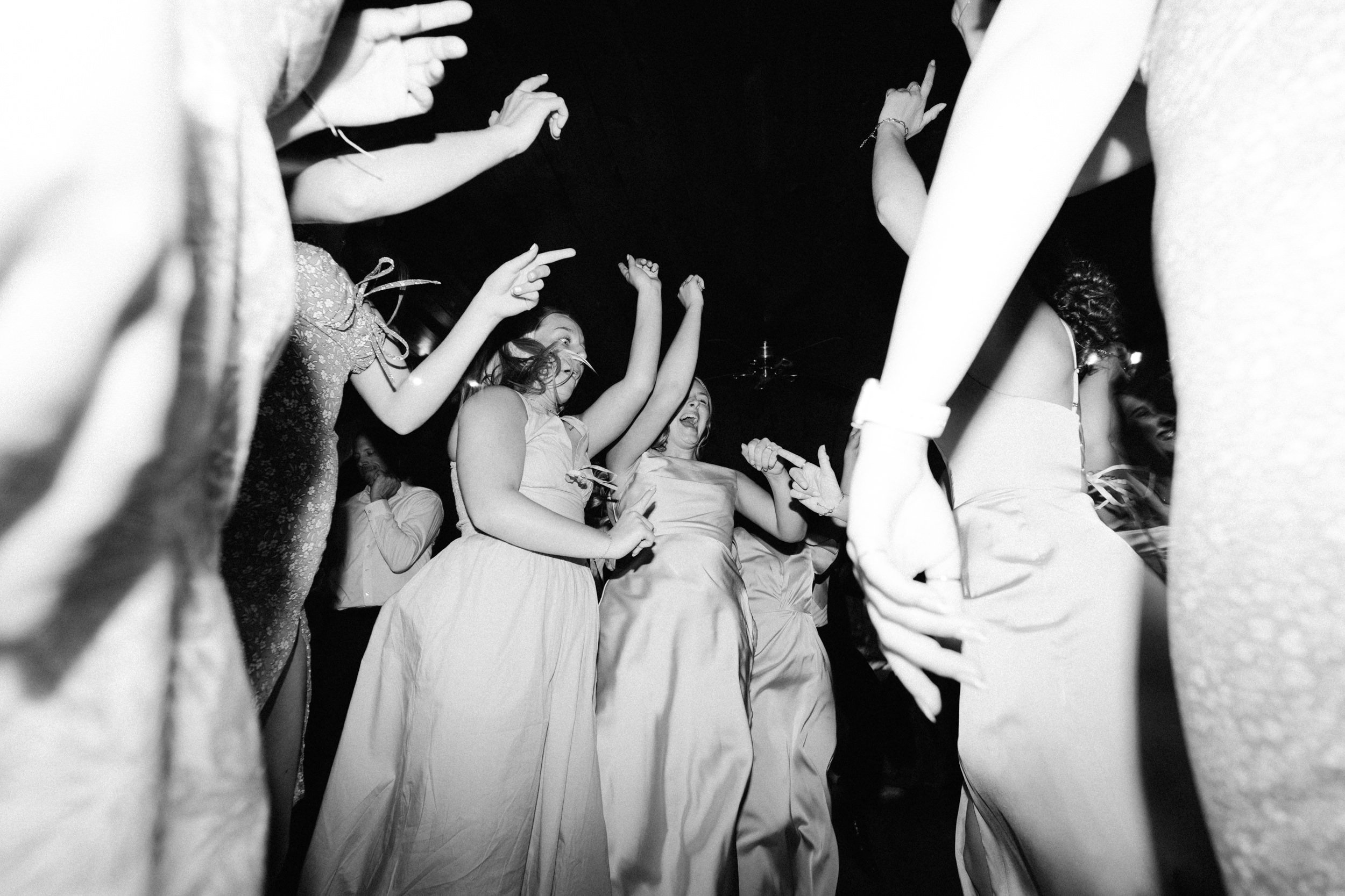 Leo and Maya Wedding Reception